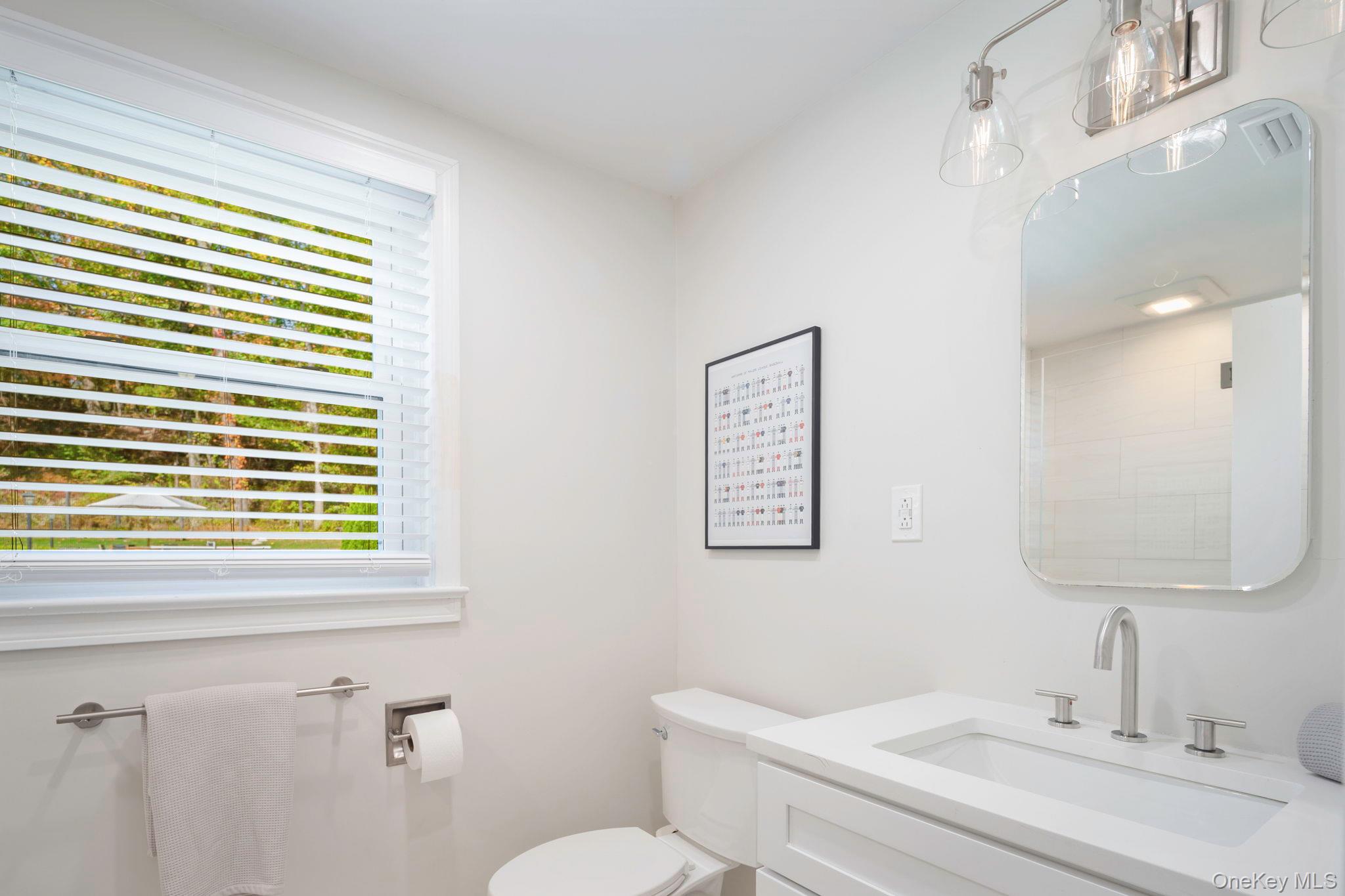 36 Pond Hill Road Chappaqua, NY 10514 - Photo 20 of 32 a bathroom with a sink a toilet and mirror