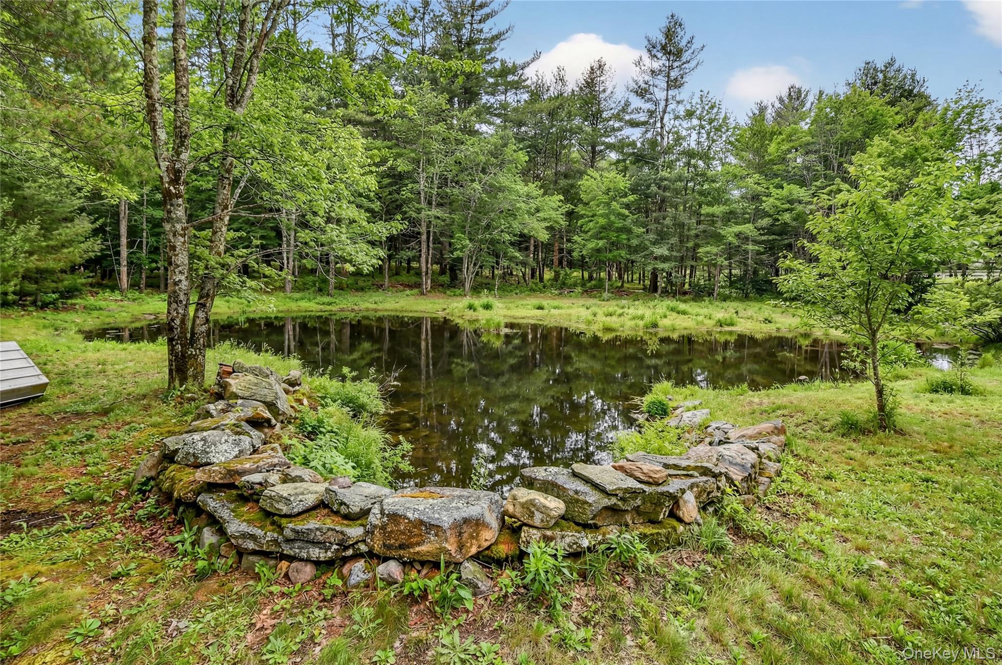 16 Kukas Road Monticello, NY 12701 - Photo 48 of 50 a view of a garden with a tree