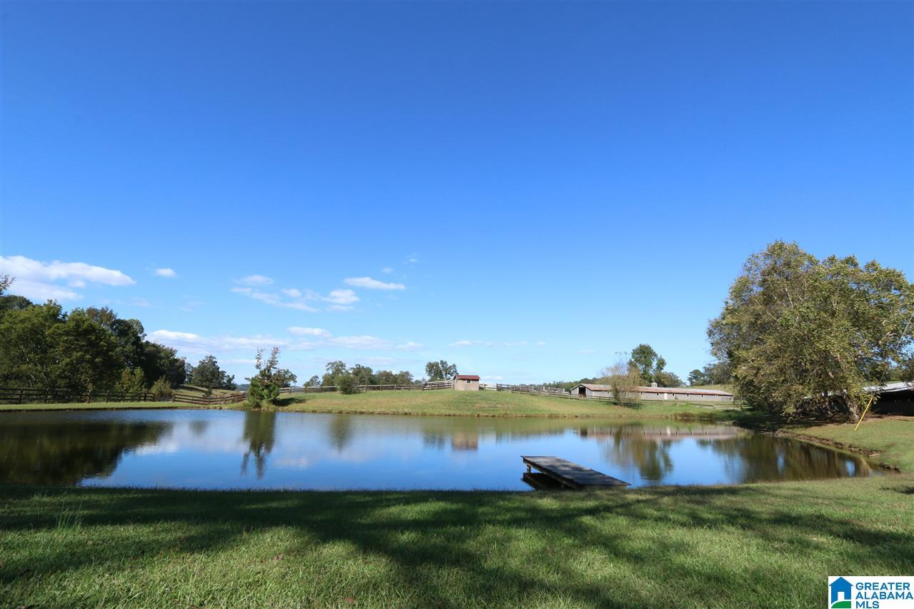 936 Daileys Chapel Road Oneonta, AL 35121 - Photo 14 of 36
