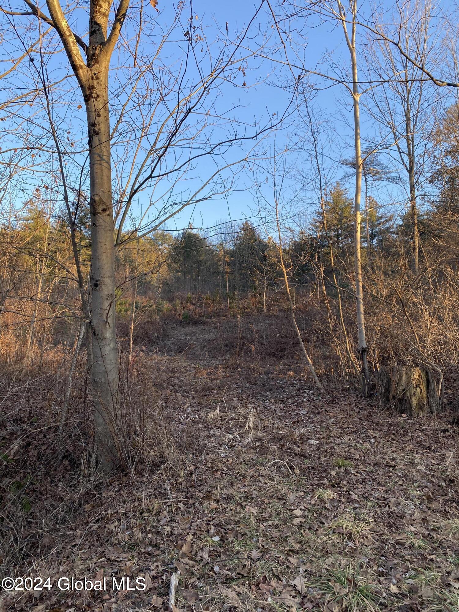 L36 Stoddard Road Hampton, NY 12837 - Photo 1 of 2 11.6 ACRES