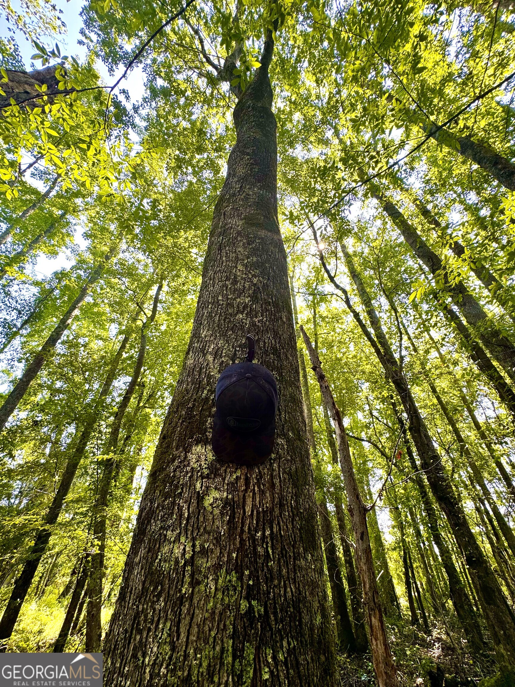 1480 Smith Bedgood Road Harrison, GA 31035 - Photo 11 of 25