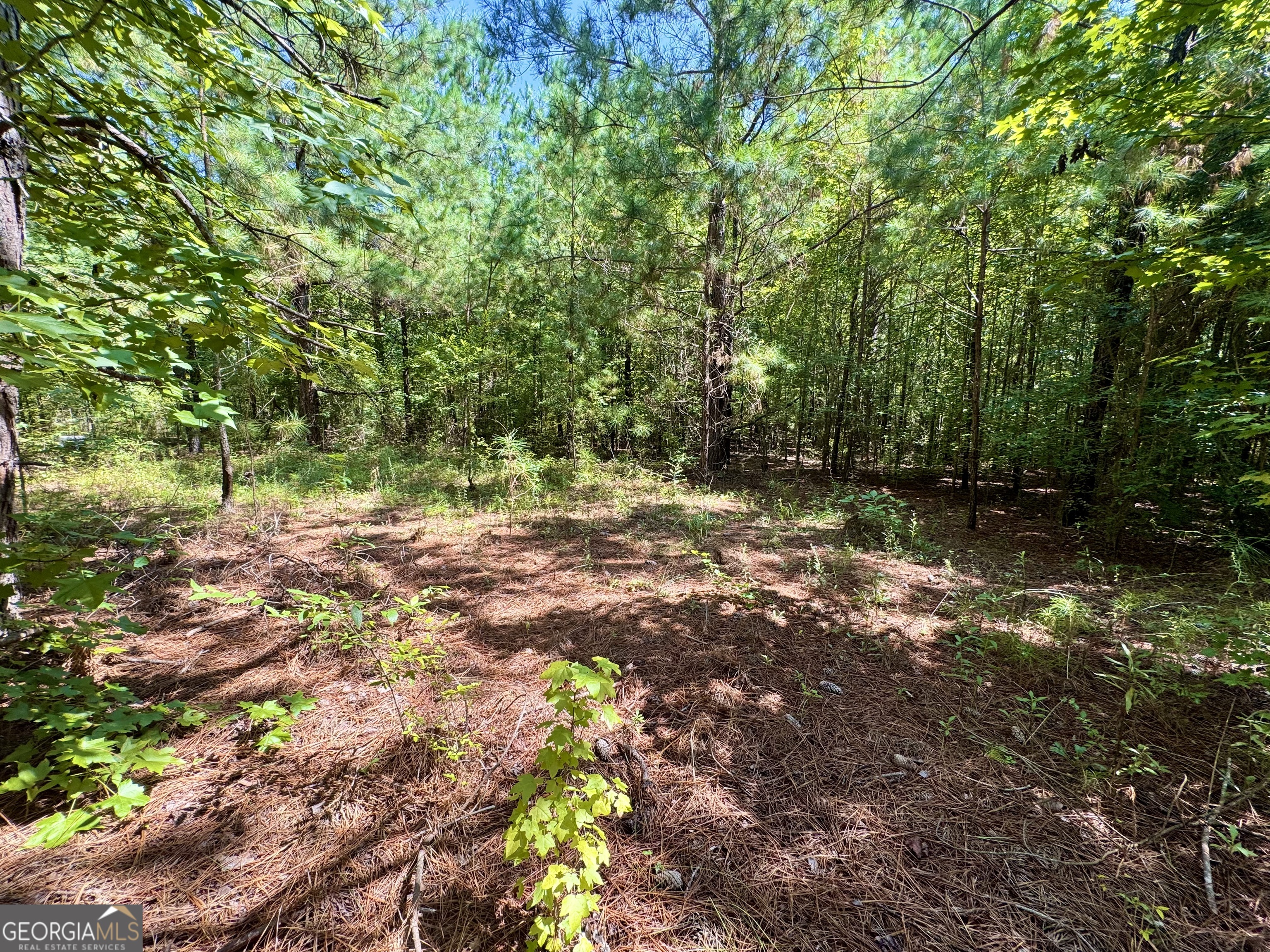 1480 Smith Bedgood Road Harrison, GA 31035 - Photo 14 of 25