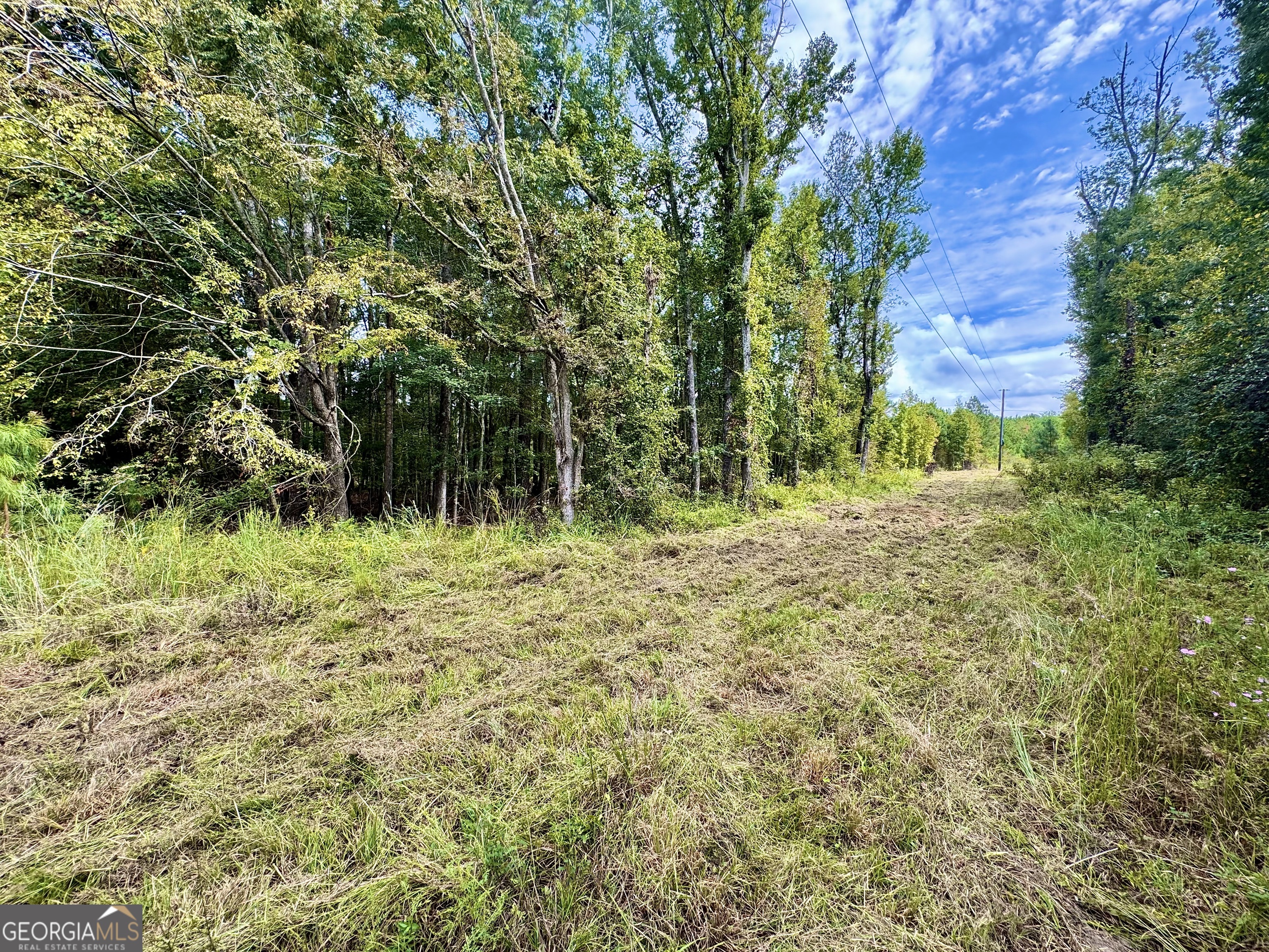 1480 Smith Bedgood Road Harrison, GA 31035 - Photo 16 of 25