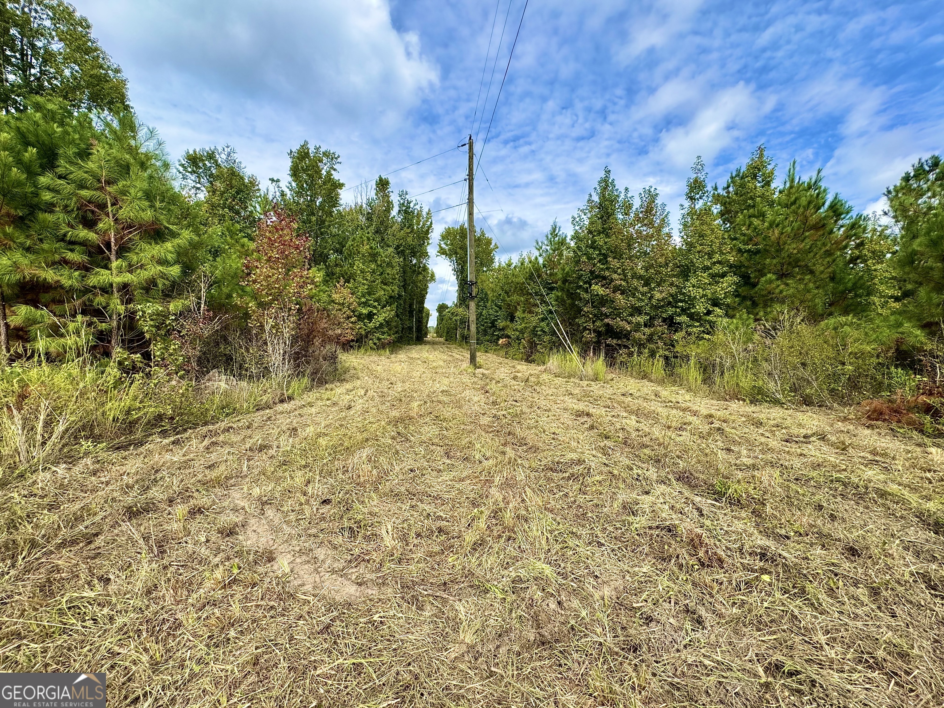 1480 Smith Bedgood Road Harrison, GA 31035 - Photo 2 of 25