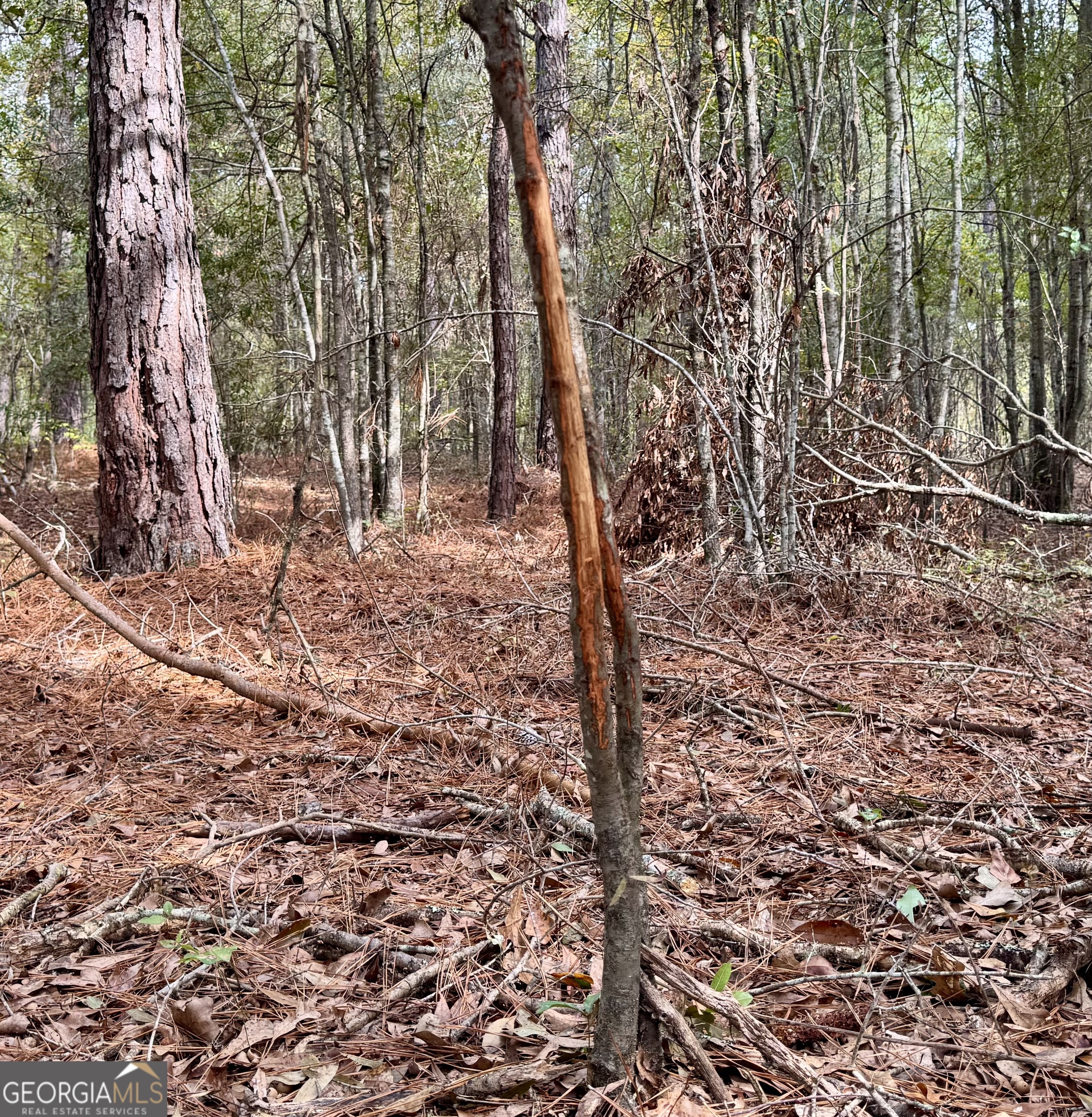 1480 Smith Bedgood Road Harrison, GA 31035 - Photo 21 of 25