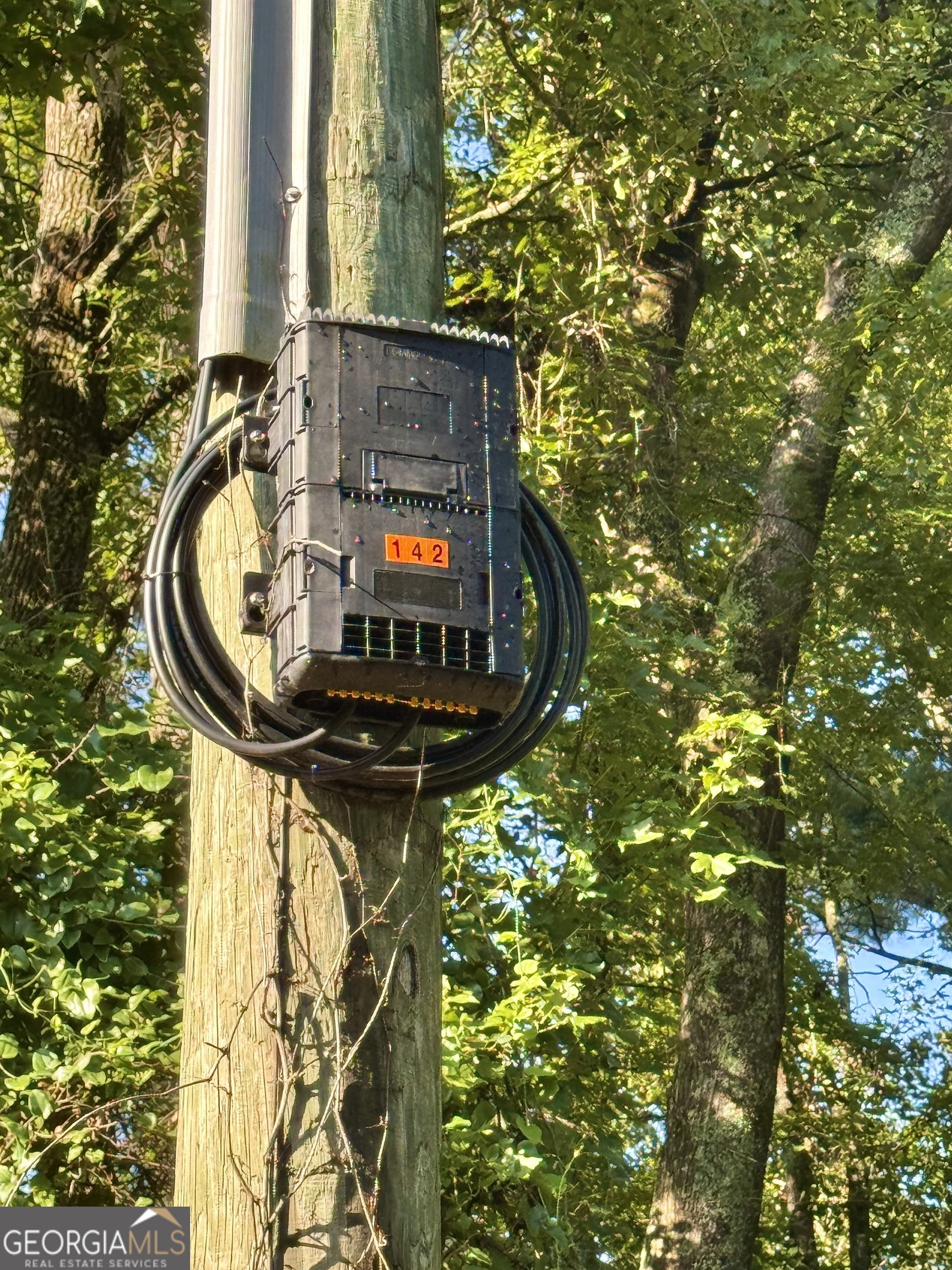 1480 Smith Bedgood Road Harrison, GA 31035 - Photo 23 of 25