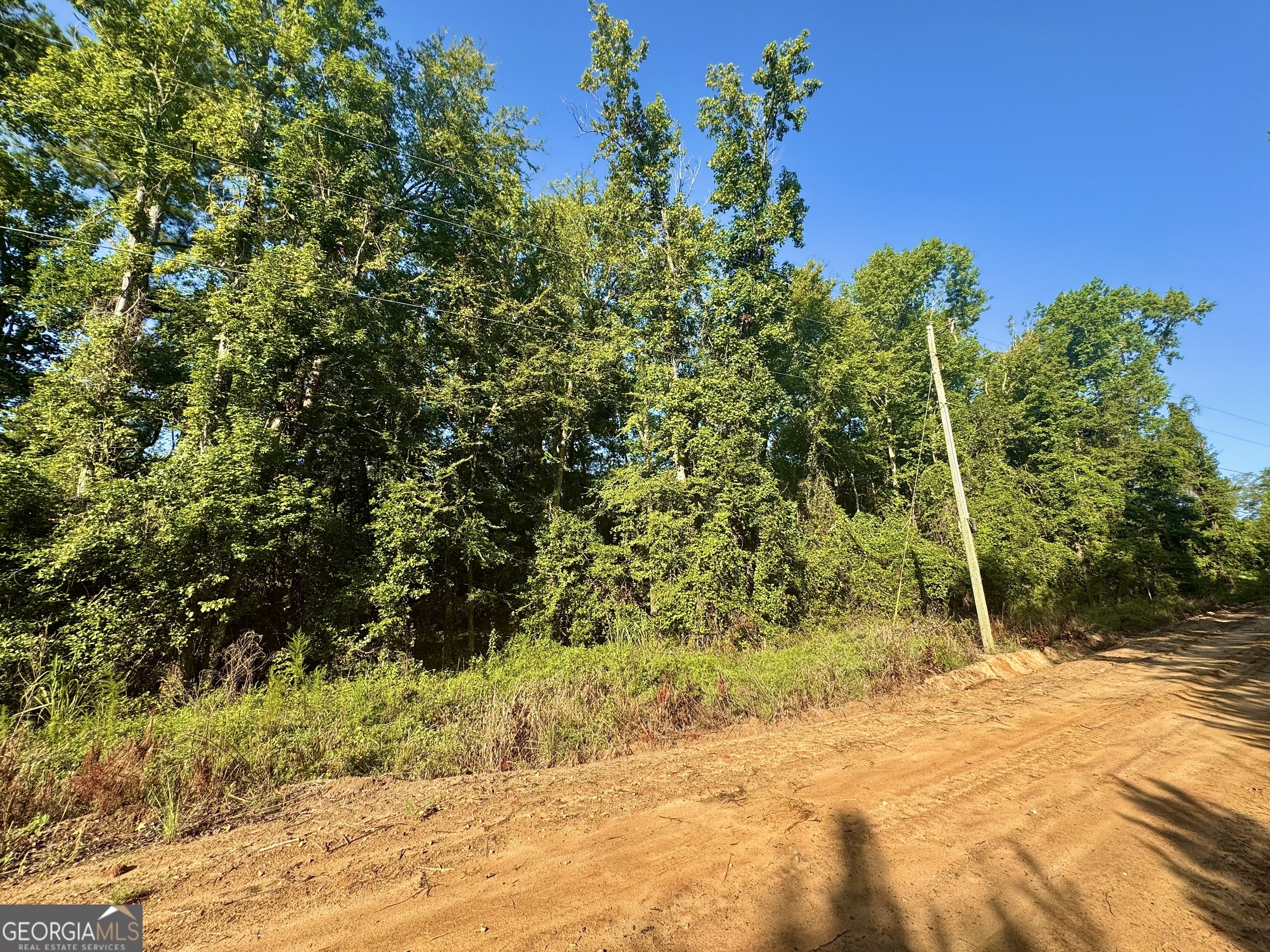 1480 Smith Bedgood Road Harrison, GA 31035 - Photo 24 of 25