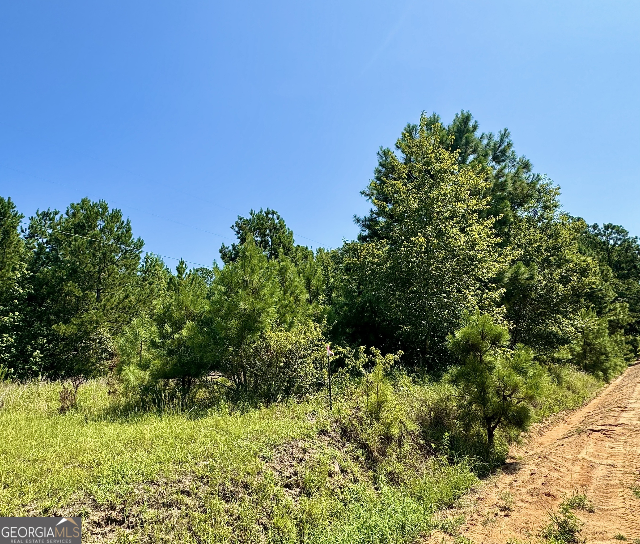 1480 Smith Bedgood Road Harrison, GA 31035 - Photo 25 of 25