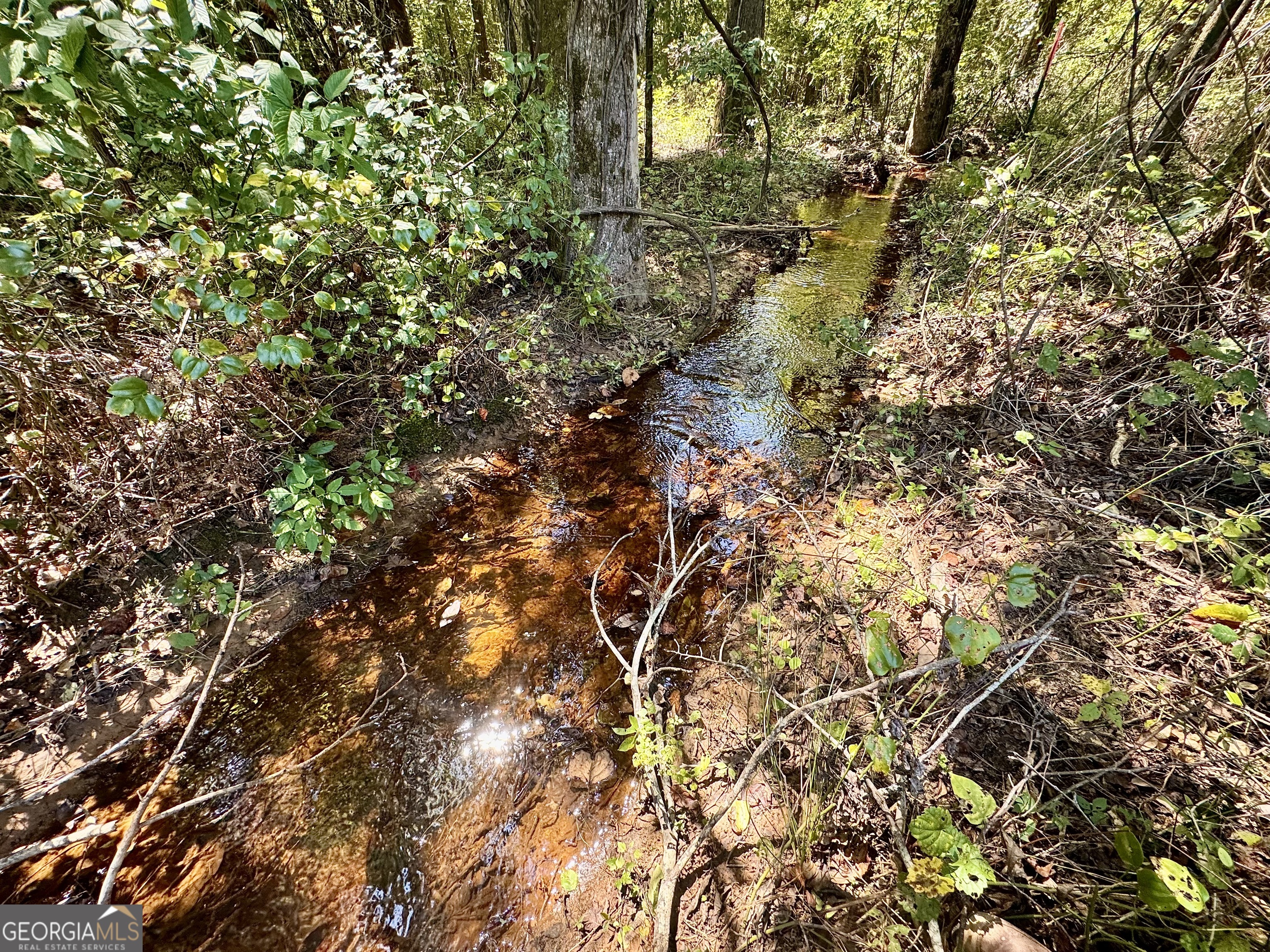 1480 Smith Bedgood Road Harrison, GA 31035 - Photo 5 of 25