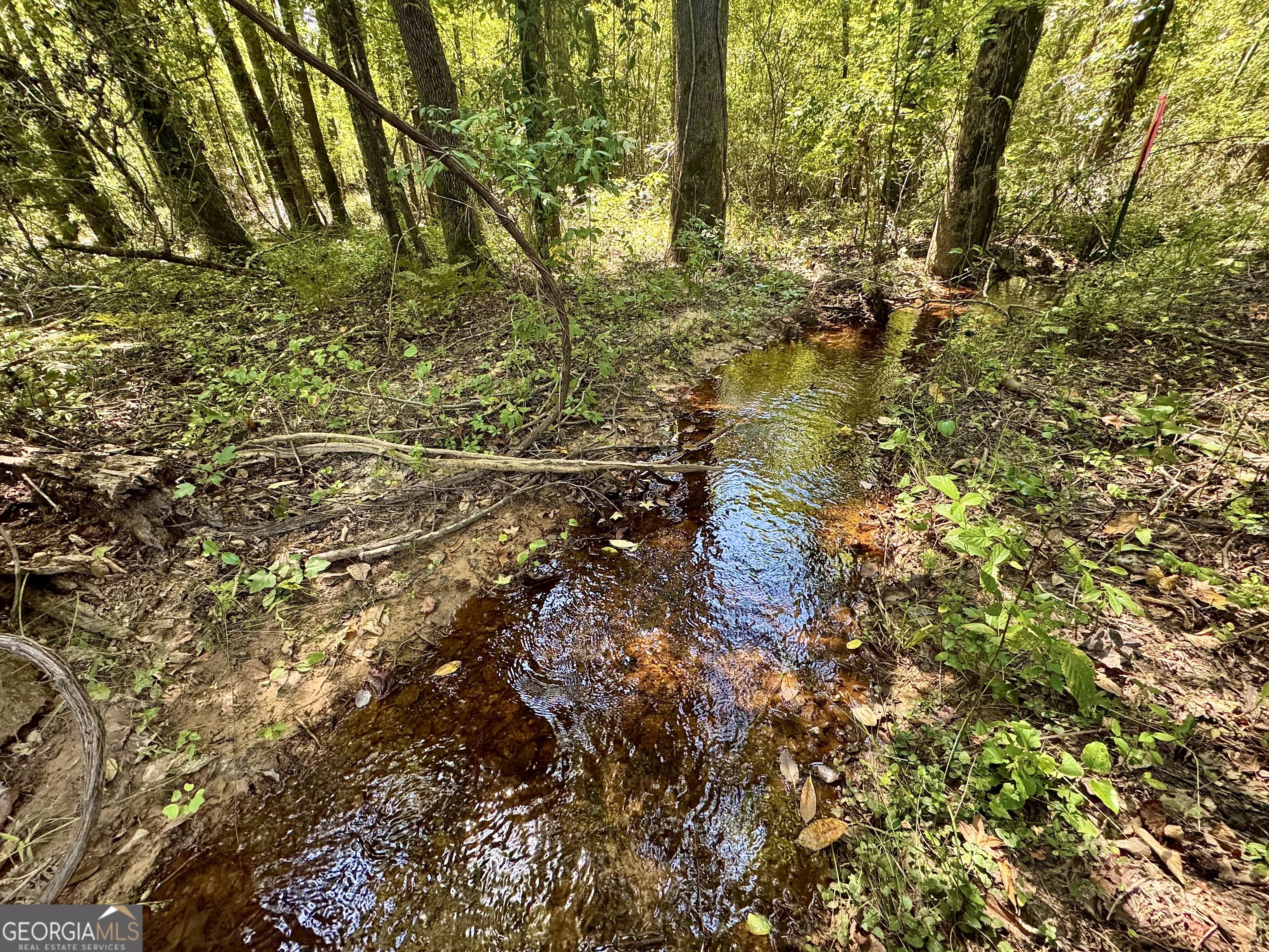 1480 Smith Bedgood Road Harrison, GA 31035 - Photo 7 of 25