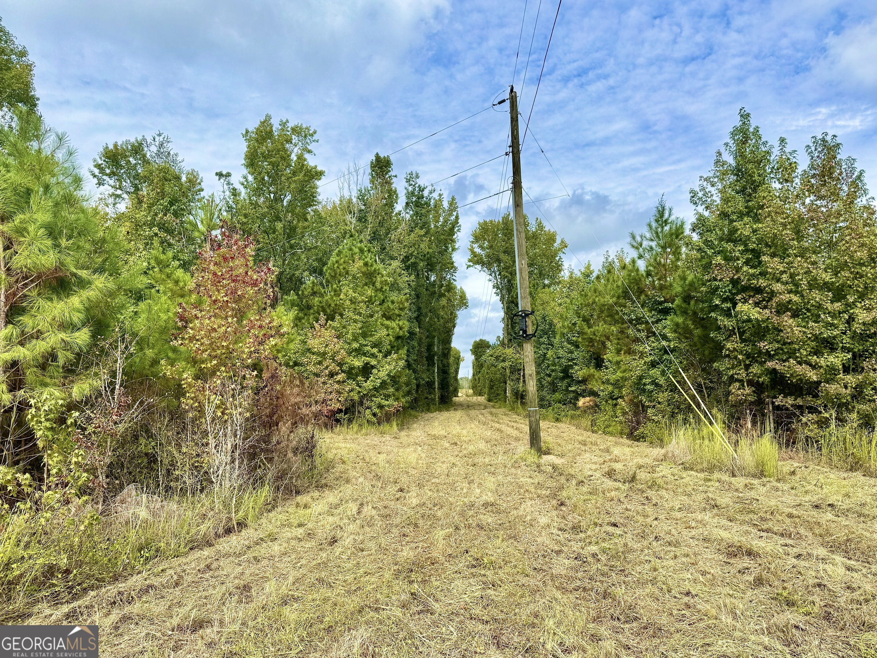 1480 Smith Bedgood Road Harrison, GA 31035 - Photo 8 of 25