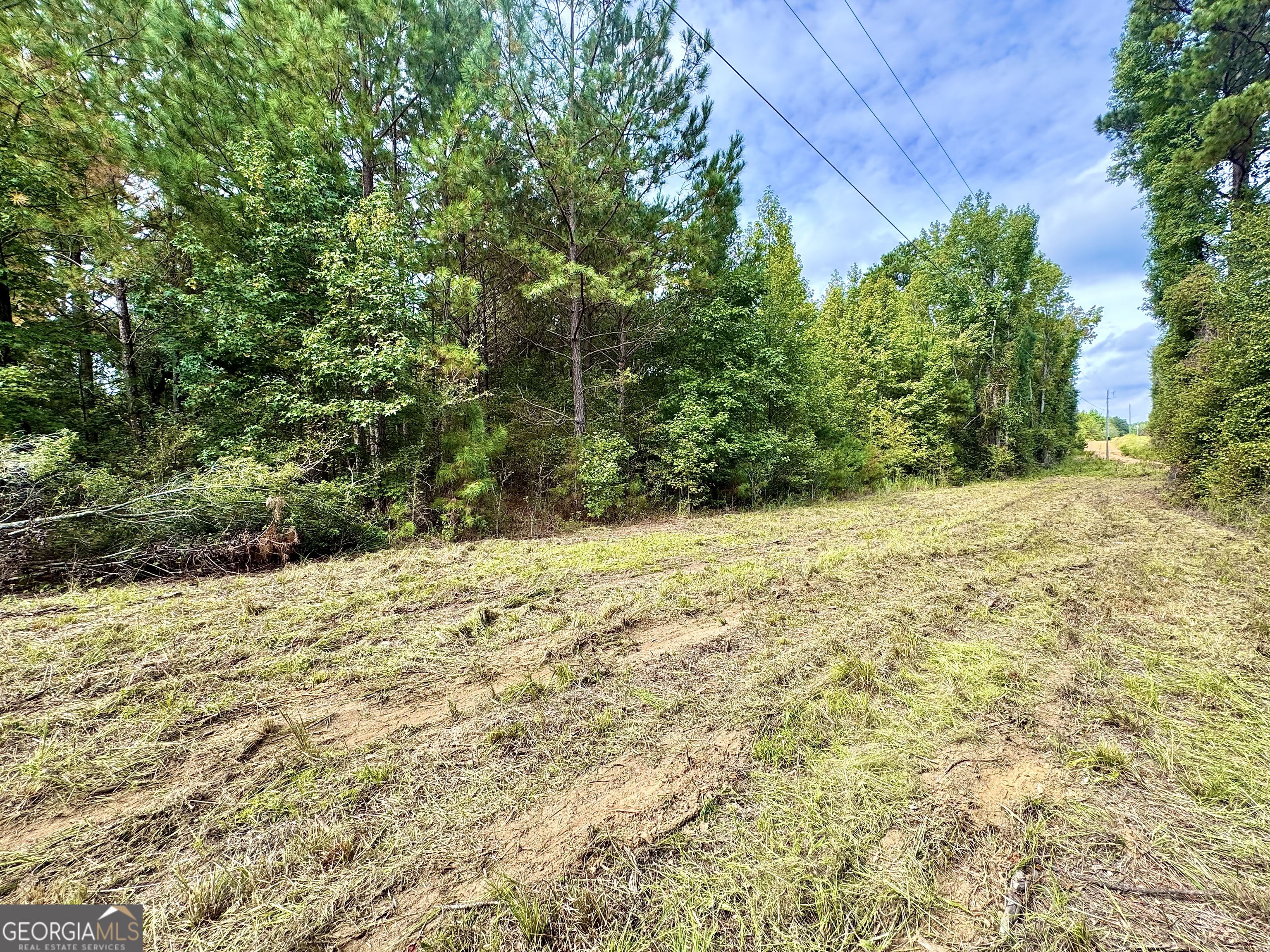 1480 Smith Bedgood Road Harrison, GA 31035 - Photo 9 of 25