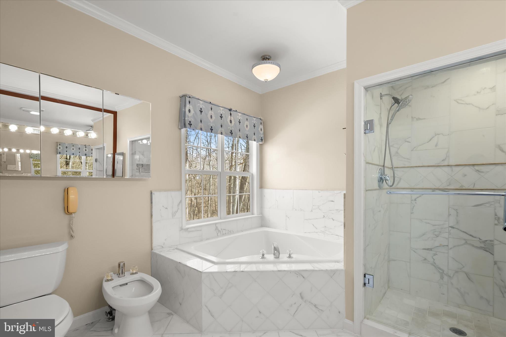 15101 Union Chapel Road Woodbine, MD 21797 - Photo 50 of 105 Corner soaking tub