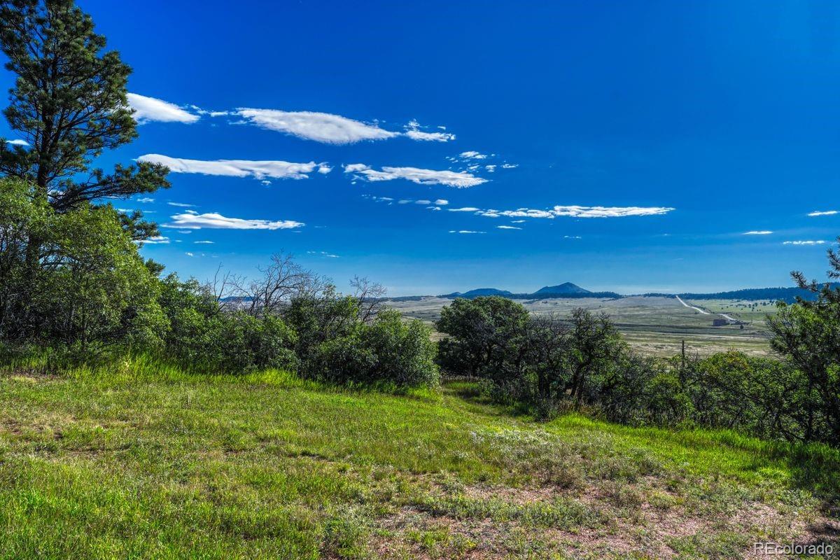 0 Columbine Road Larkspur, CO 80118 - Photo 20 of 37 Gallery Image 20