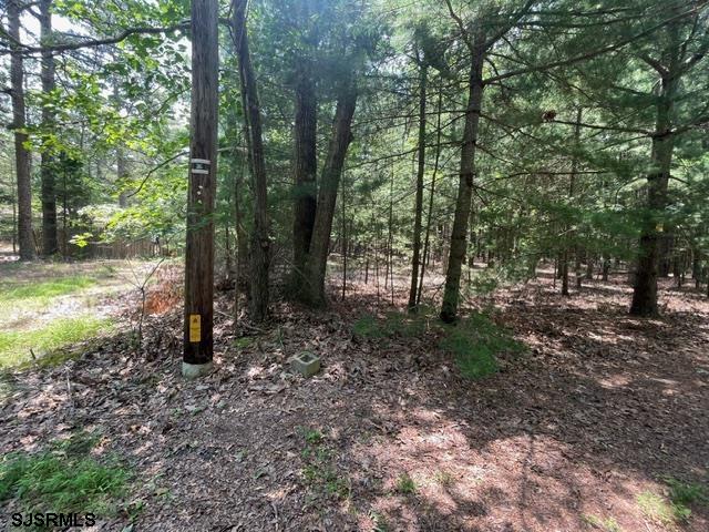 Columbia Road Egg Harbor City, NJ 08215 - Photo 2 of 13