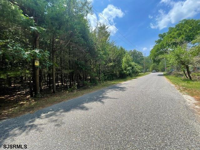 Columbia Road Egg Harbor City, NJ 08215 - Photo 7 of 13