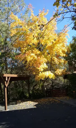 $399,900 | 197 Blackberry Court, Unit 10, Auburn, CA 95603