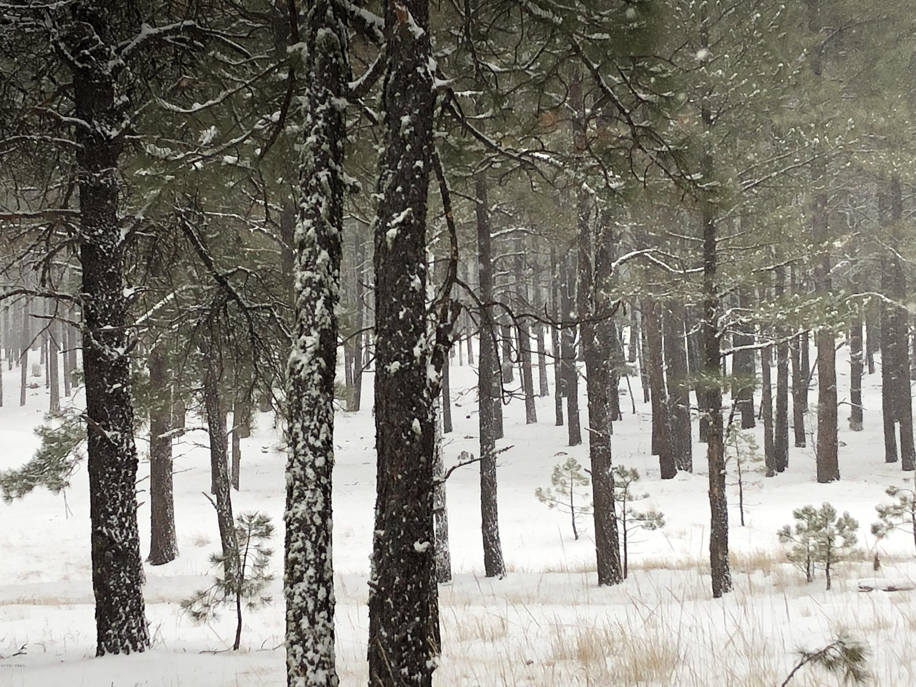 1 V Cr Alpine, AZ 85920 - Photo 13 of 28 a view of snow on the roadside