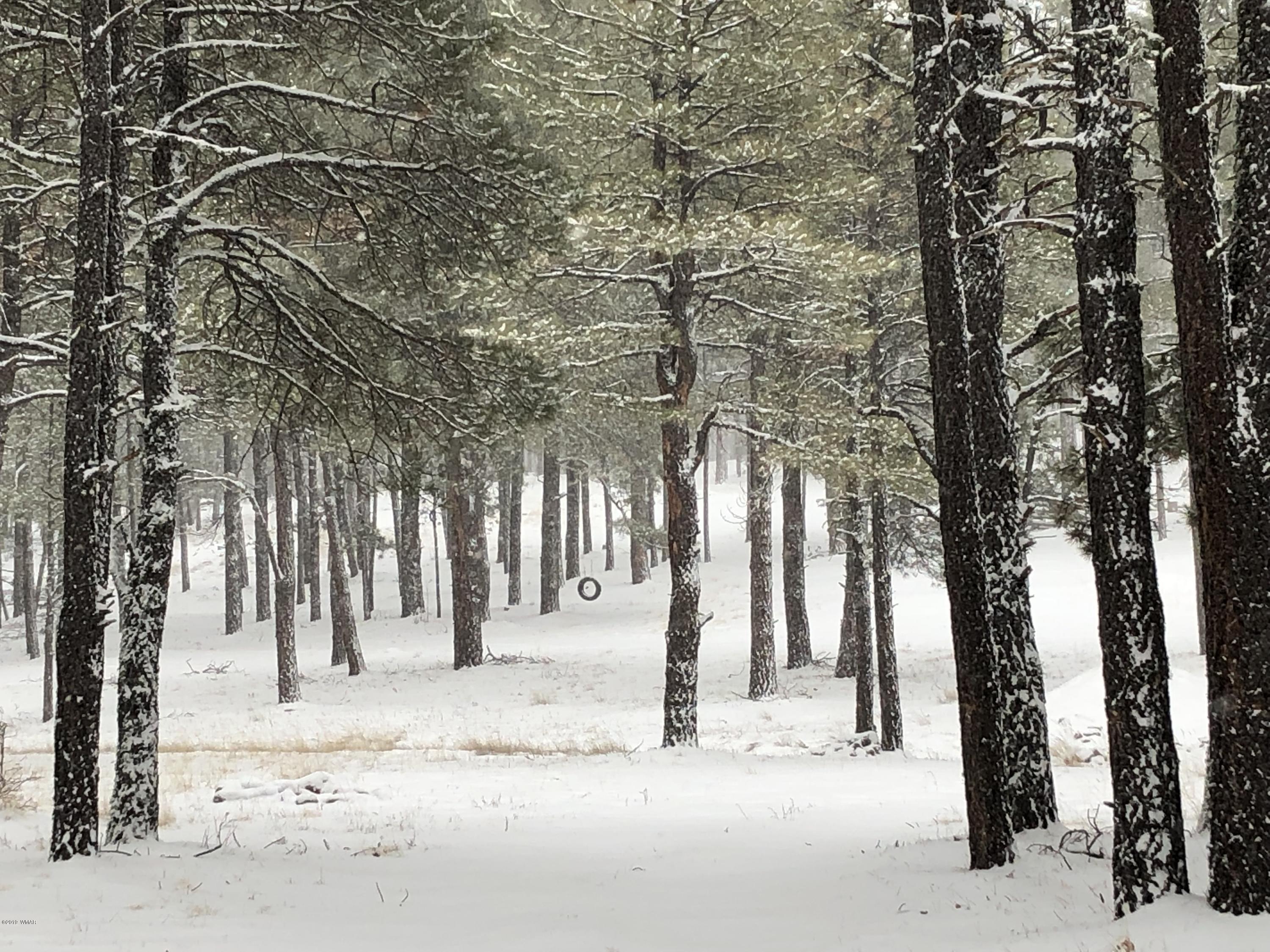 1 V Cr Alpine, AZ 85920 - Photo 14 of 28 a view of snow on the road
