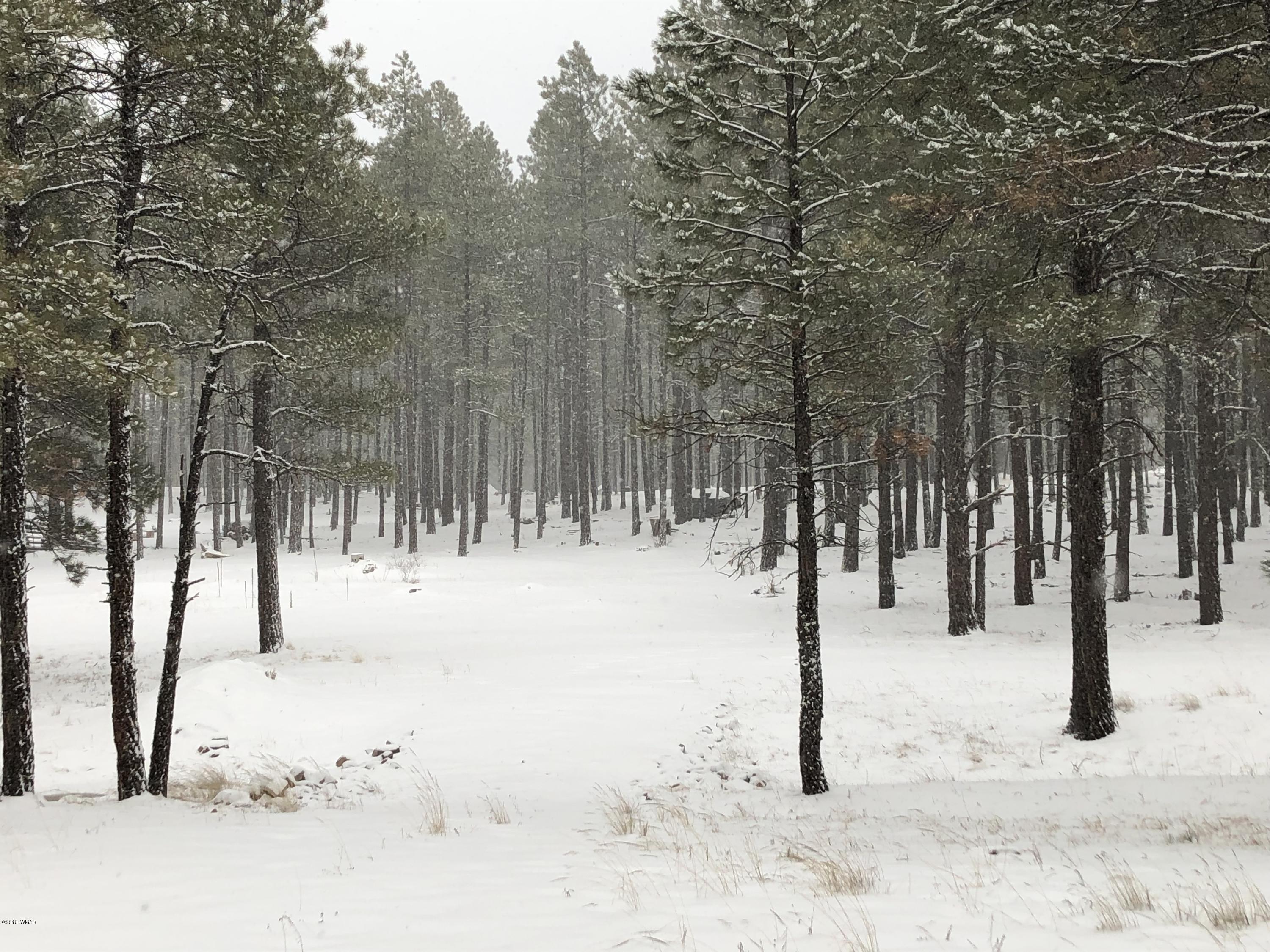 1 V Cr Alpine, AZ 85920 - Photo 16 of 28 a view of snow on the road