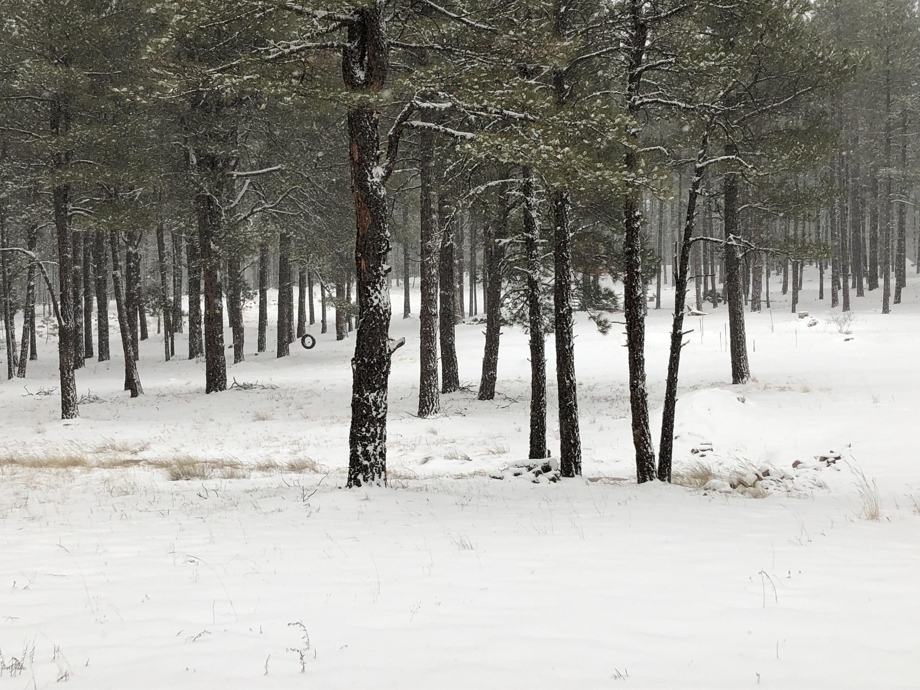 1 V Cr Alpine, AZ 85920 - Photo 18 of 28 a view of snow on the road