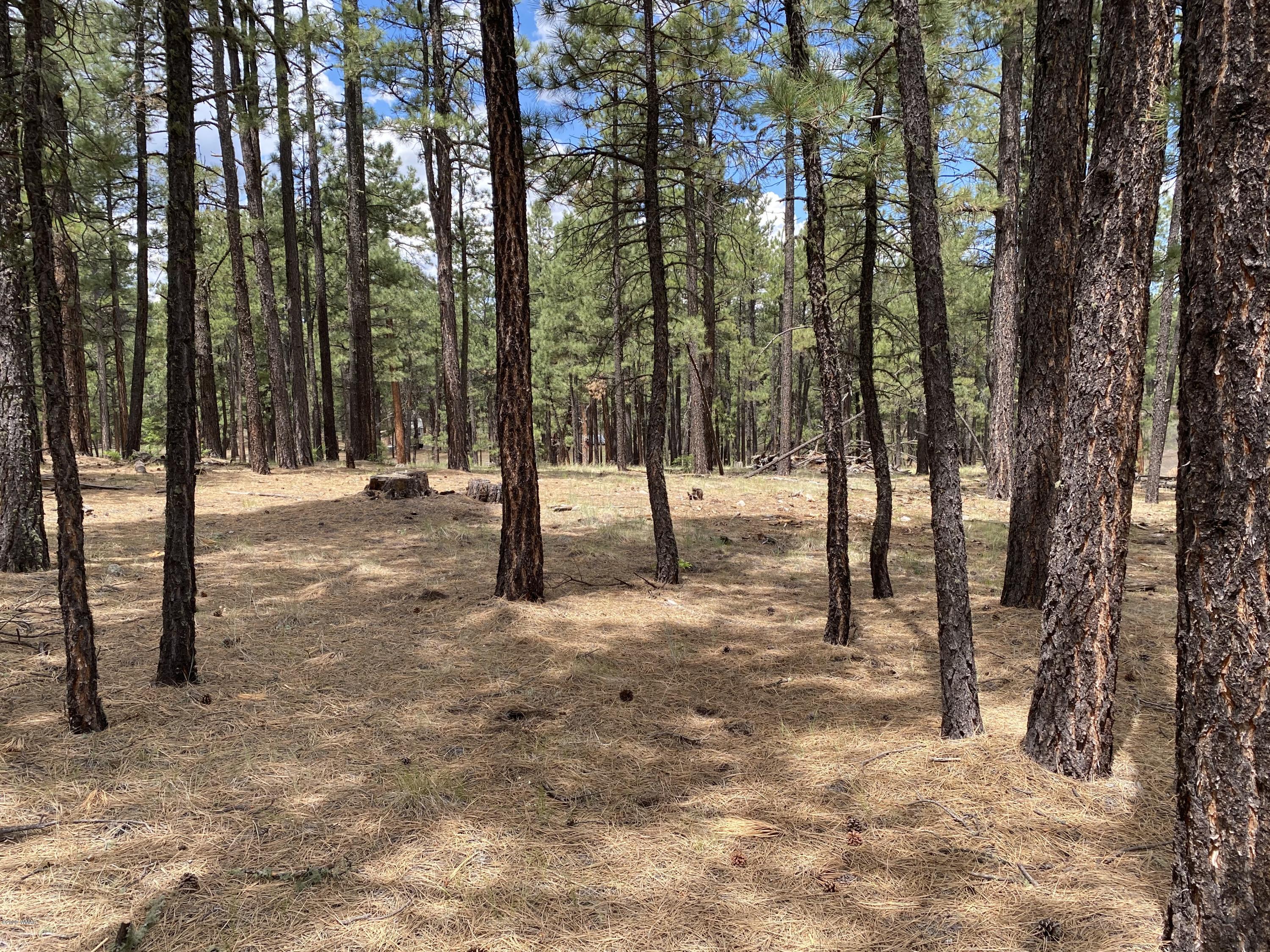 1 V Cr Alpine, AZ 85920 - Photo 19 of 28 a view of outdoor space with trees
