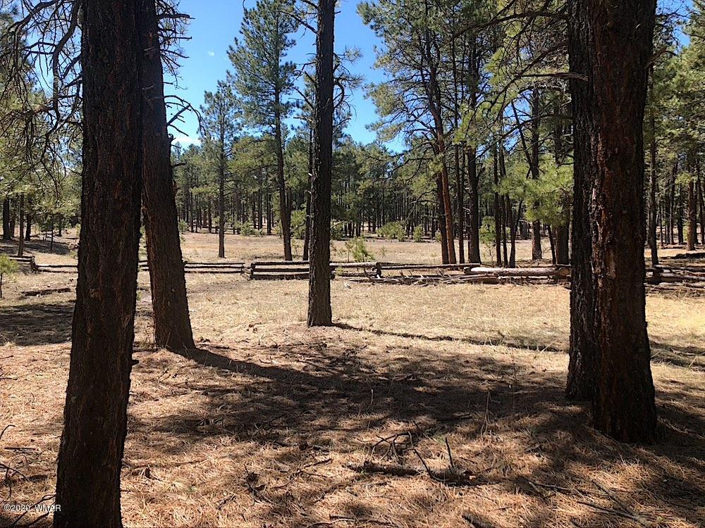 1 V Cr Alpine, AZ 85920 - Photo 20 of 28 a view of a yard with trees