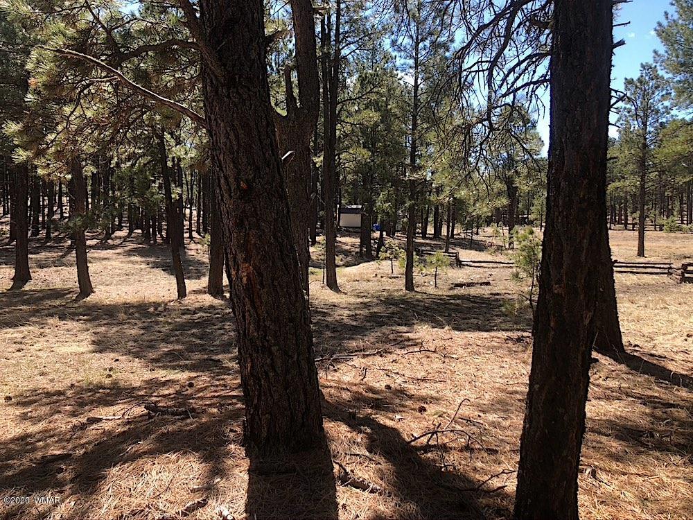 1 V Cr Alpine, AZ 85920 - Photo 21 of 28 a view of a yard with snow on the tree