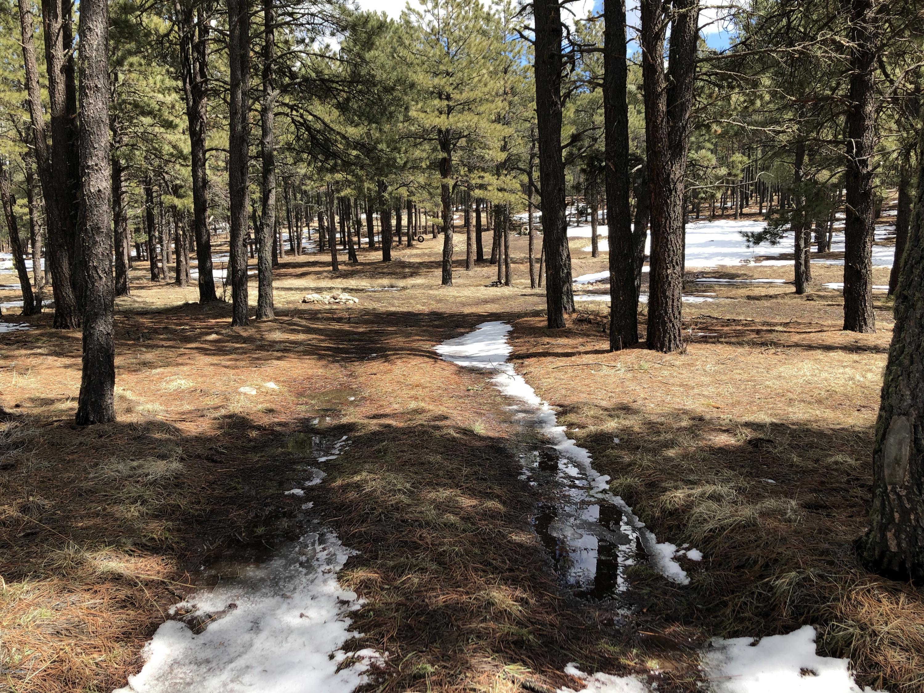 1 V Cr Alpine, AZ 85920 - Photo 22 of 28 a view of a yard with trees