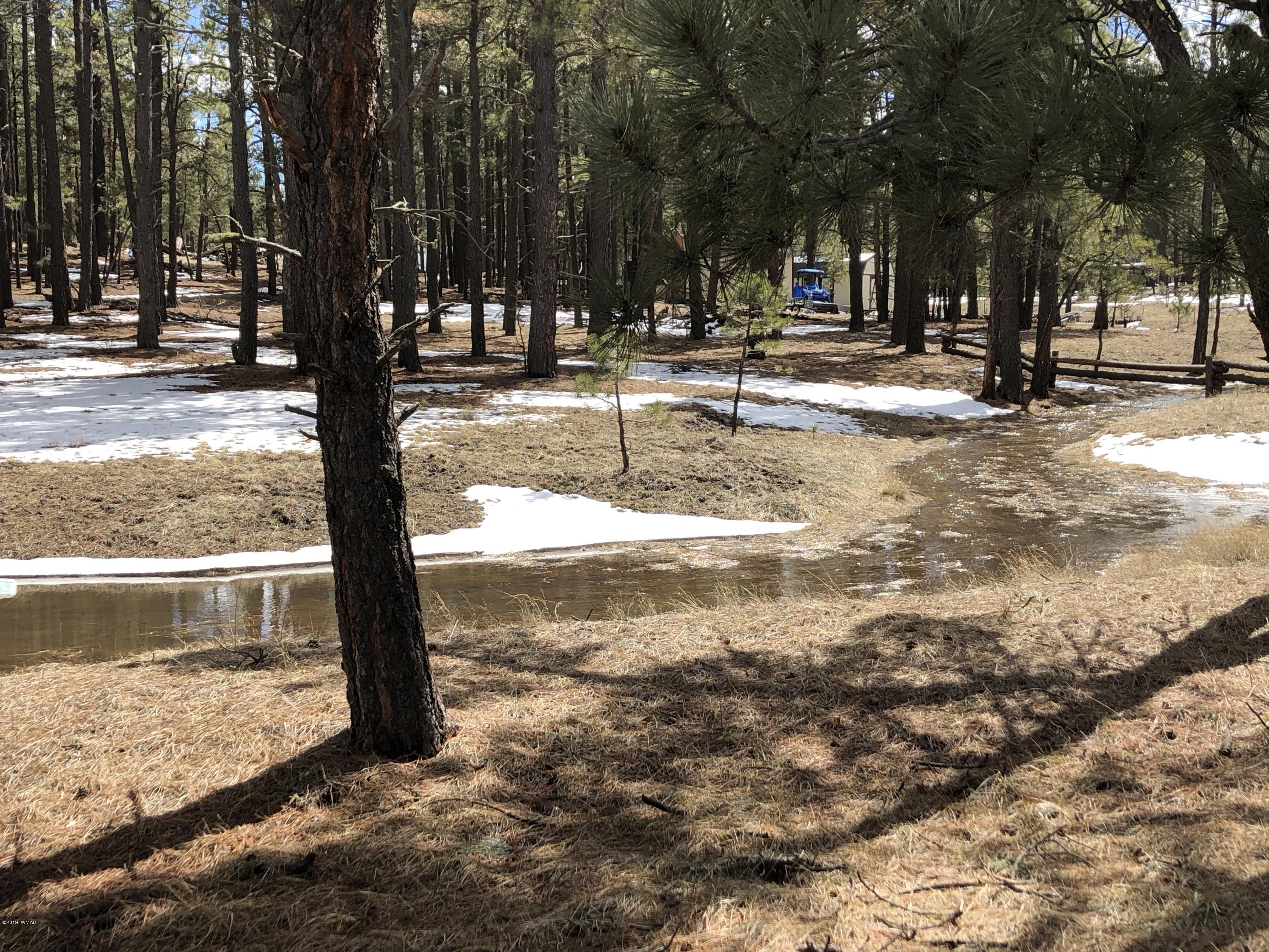 1 V Cr Alpine, AZ 85920 - Photo 23 of 28 a view of a yard with snow on the road