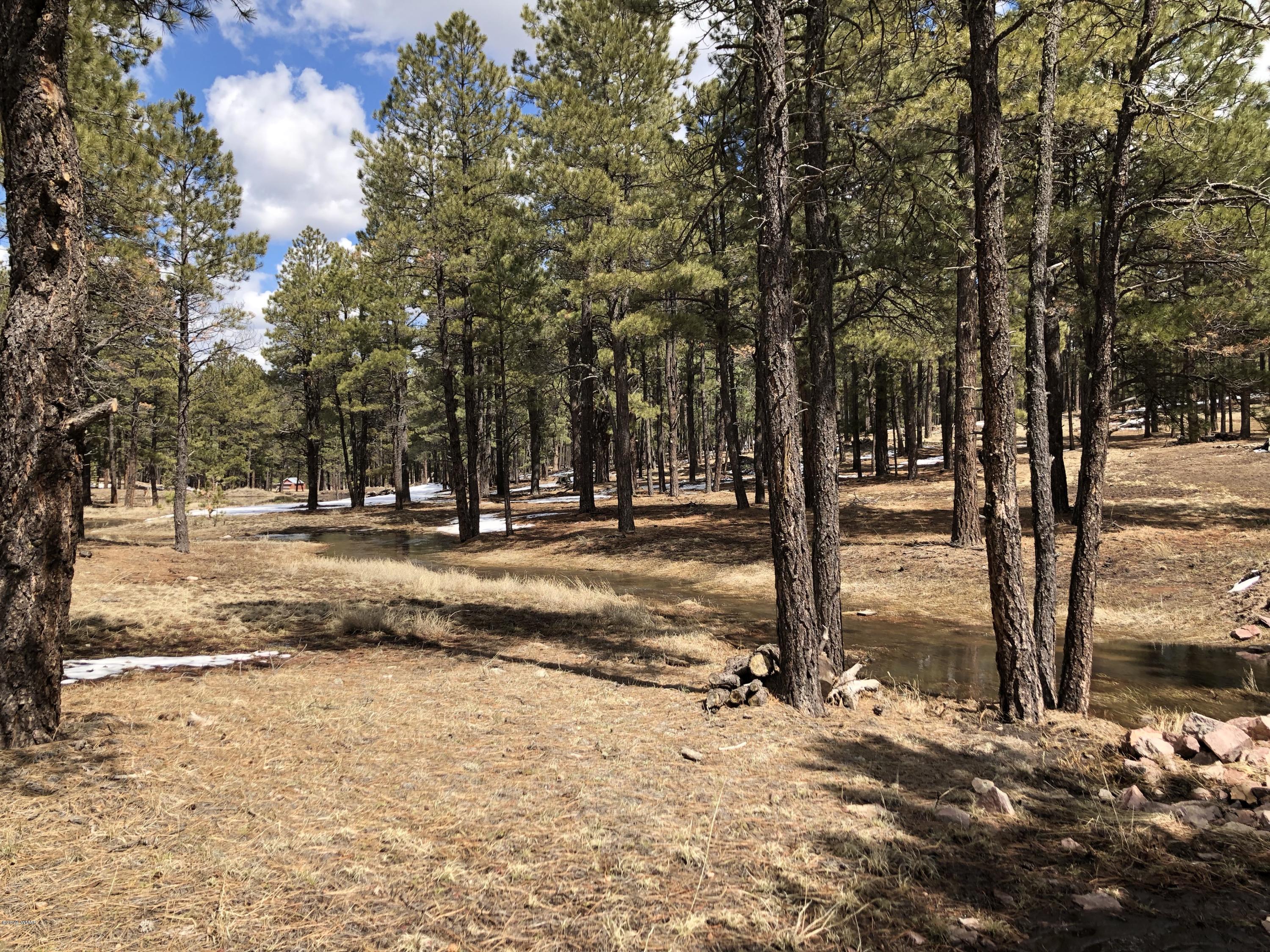 1 V Cr Alpine, AZ 85920 - Photo 24 of 28 a view of road with trees