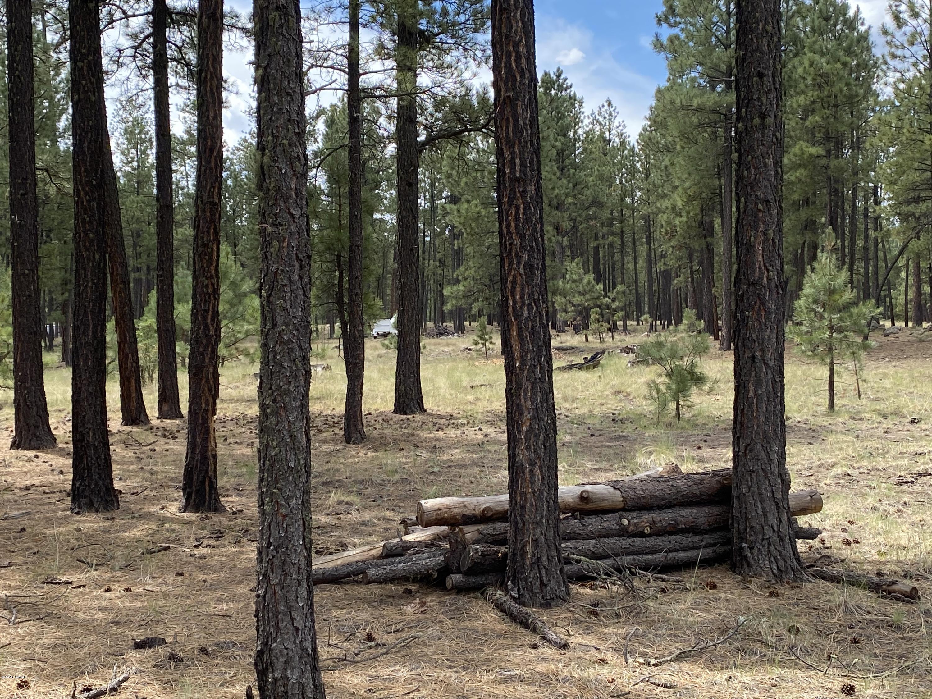 1 V Cr Alpine, AZ 85920 - Photo 26 of 28 a view of a backyard with large trees and wooden fence