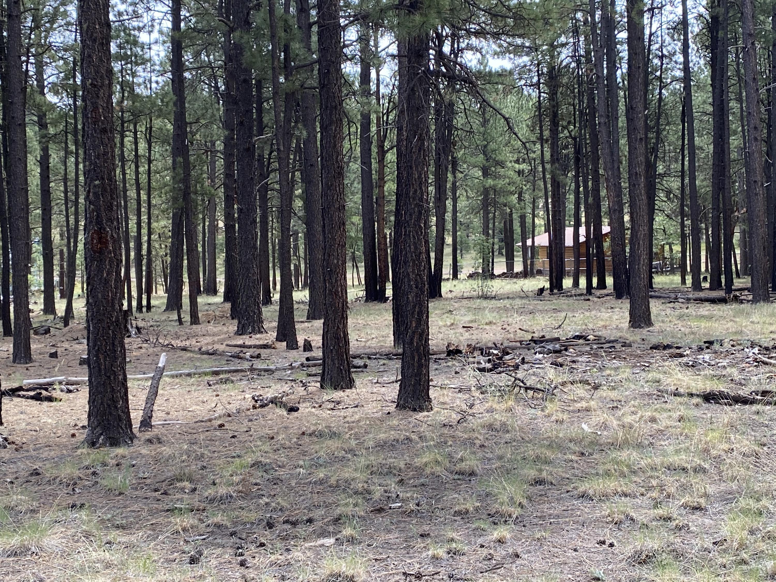 1 V Cr Alpine, AZ 85920 - Photo 28 of 28 a view of a backyard with large trees and wooden fence