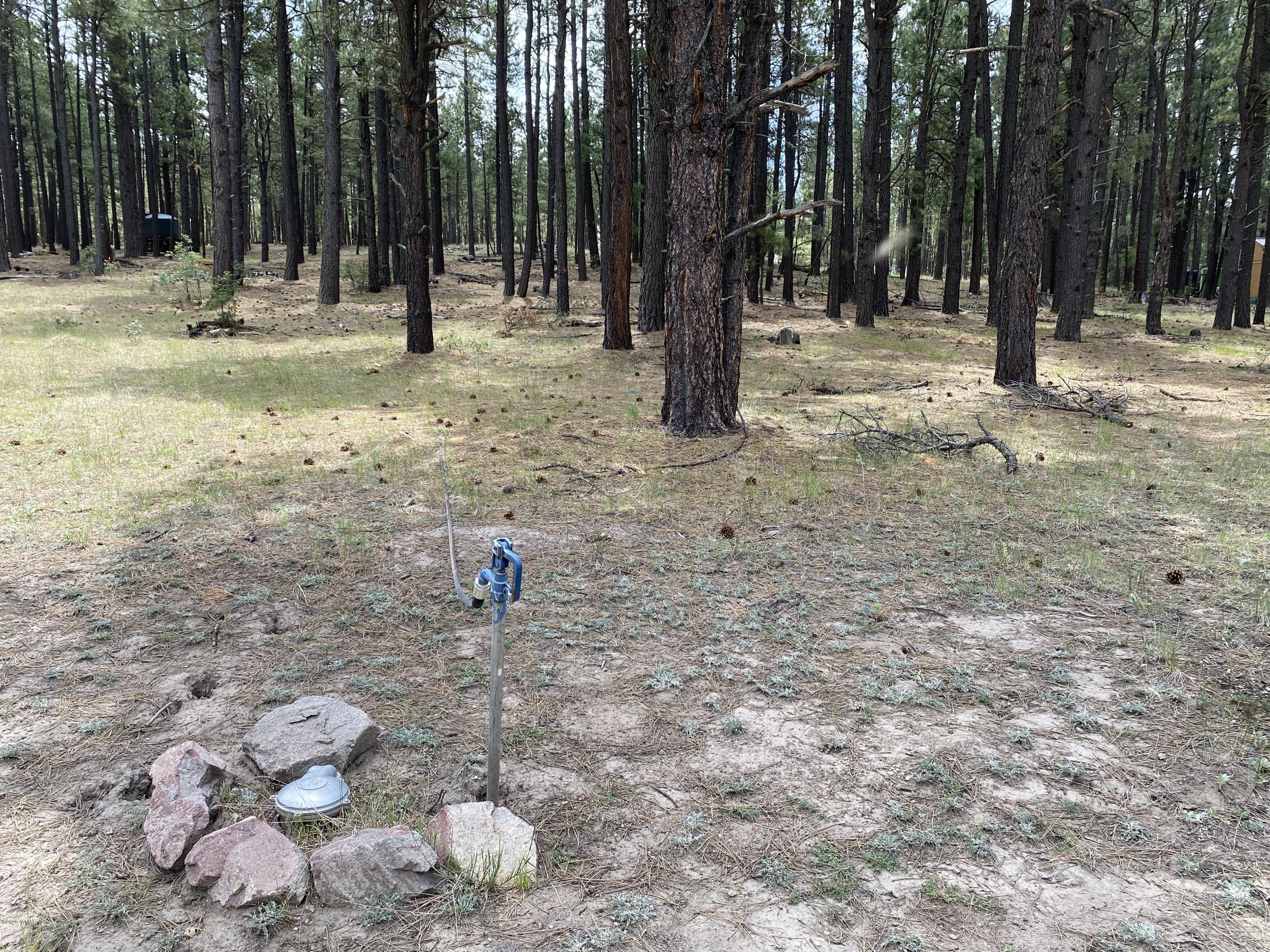 1 V Cr Alpine, AZ 85920 - Photo 4 of 28 a view of a tree with a yard