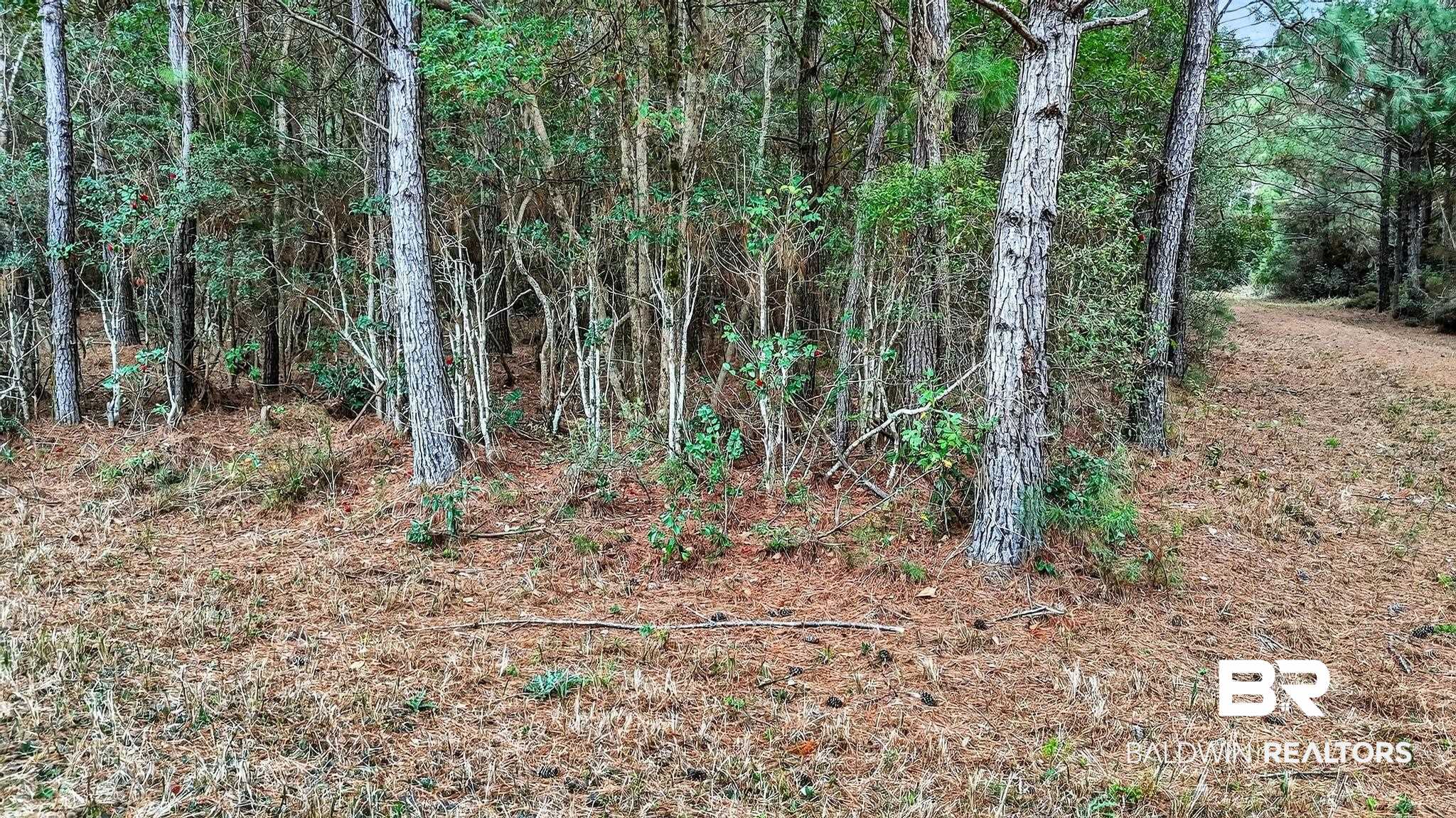 0 Hemley Road Bayou La Batre, AL 36509 - Photo 9 of 28