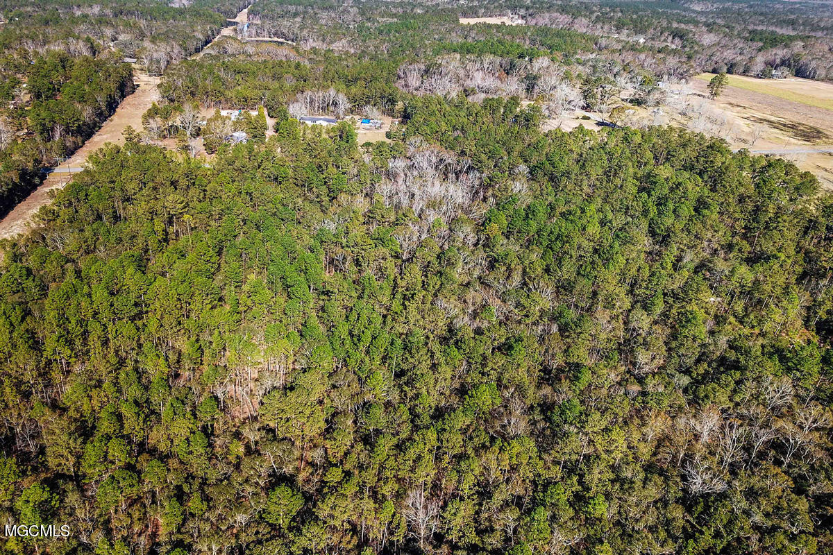 15.35-ac Richard Reeves Road Lucedale, MS 39452 - Photo 17 of 17 009 E