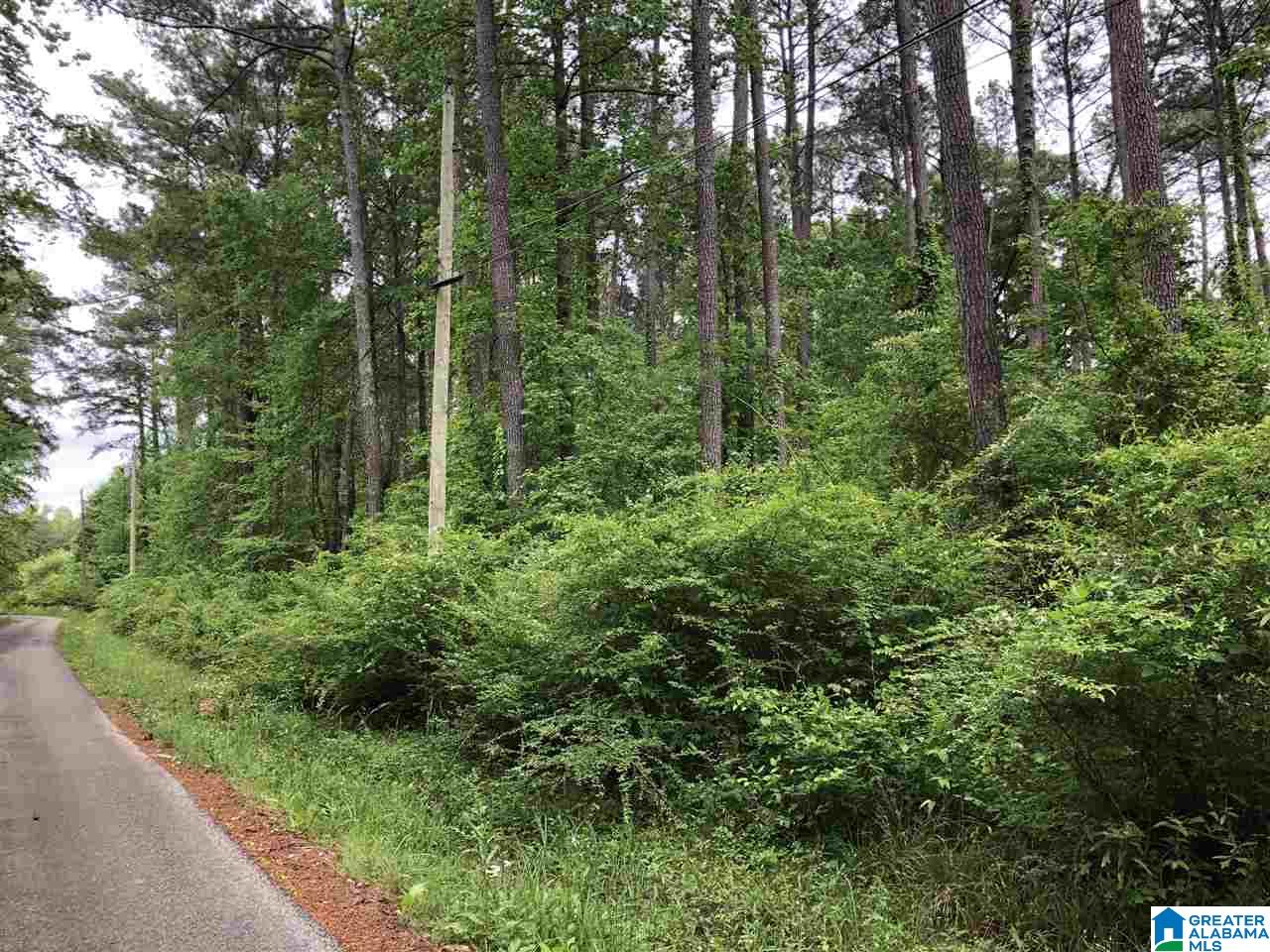 4120 Roy Road, Unit 4 Bessemer, AL 35022 - Photo 1 of 1