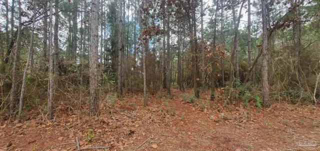 a view of small yard