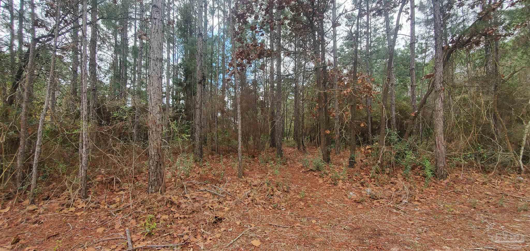 8781 Olivera Street Navarre, FL 32566 - Photo 2 of 2 a view of small yard