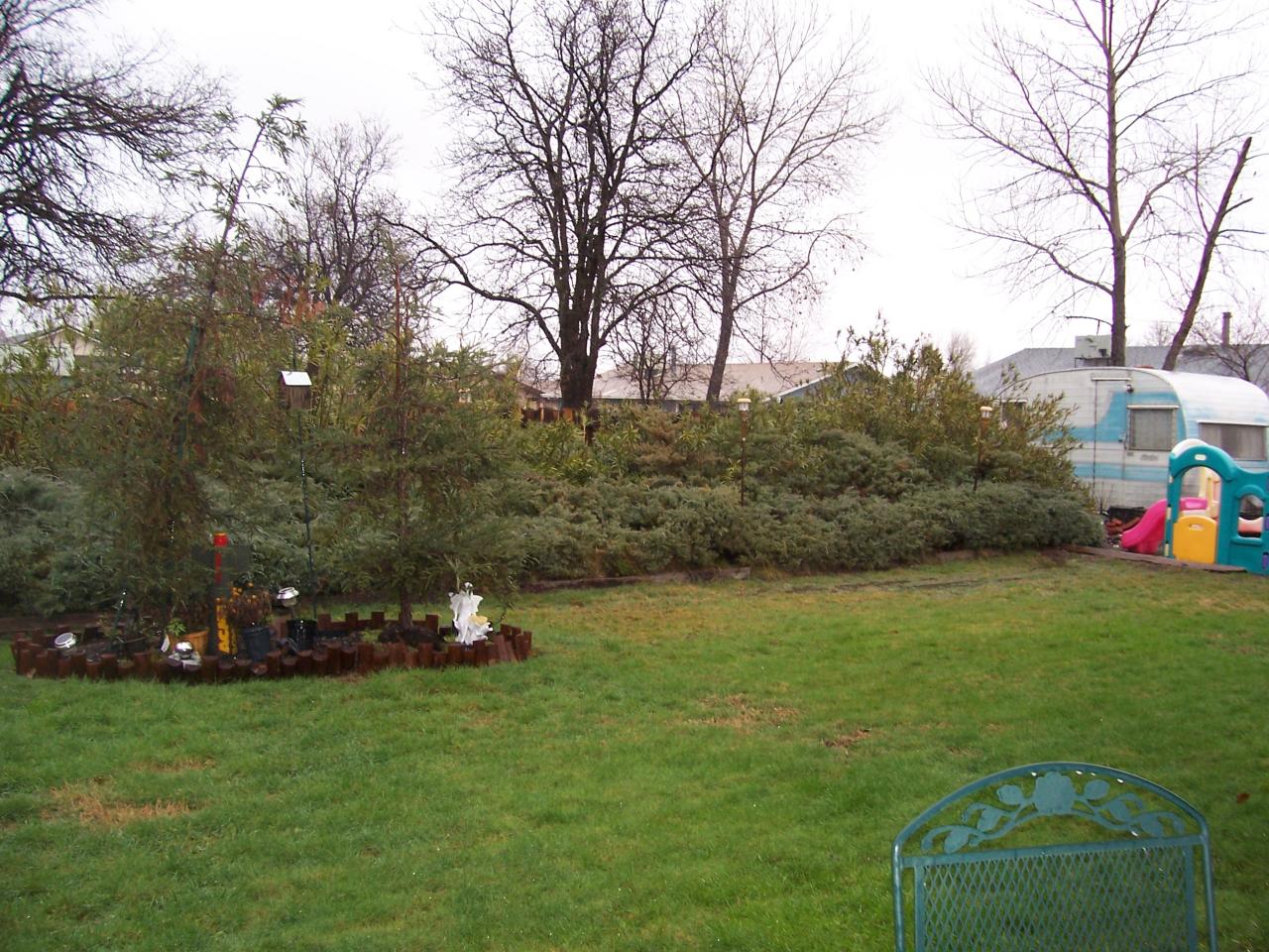 3290 Santa Rosa Way Redding, CA 96003 - Photo 20 of 22 Another View of the Backyard