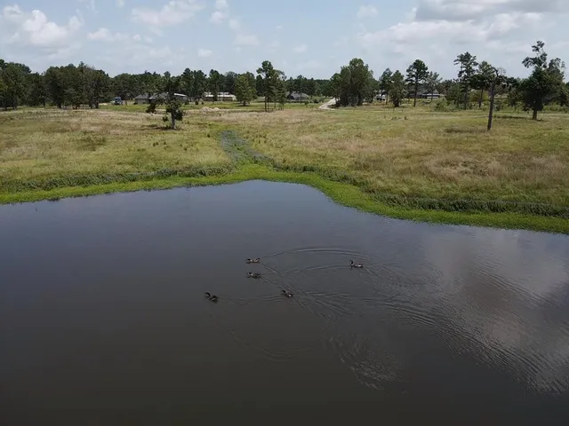 a view of a lake with houses in background