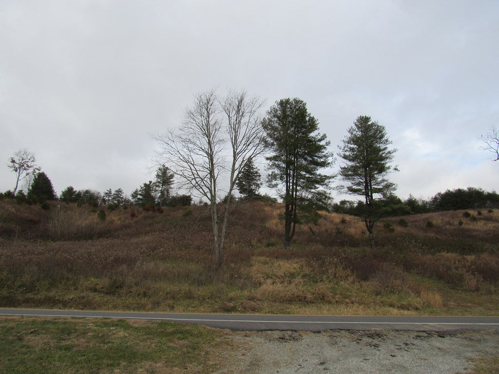 4 Riverside Drive, Unit 4 Galax, VA 24333 - Photo 10 of 12 Gallery Image 10