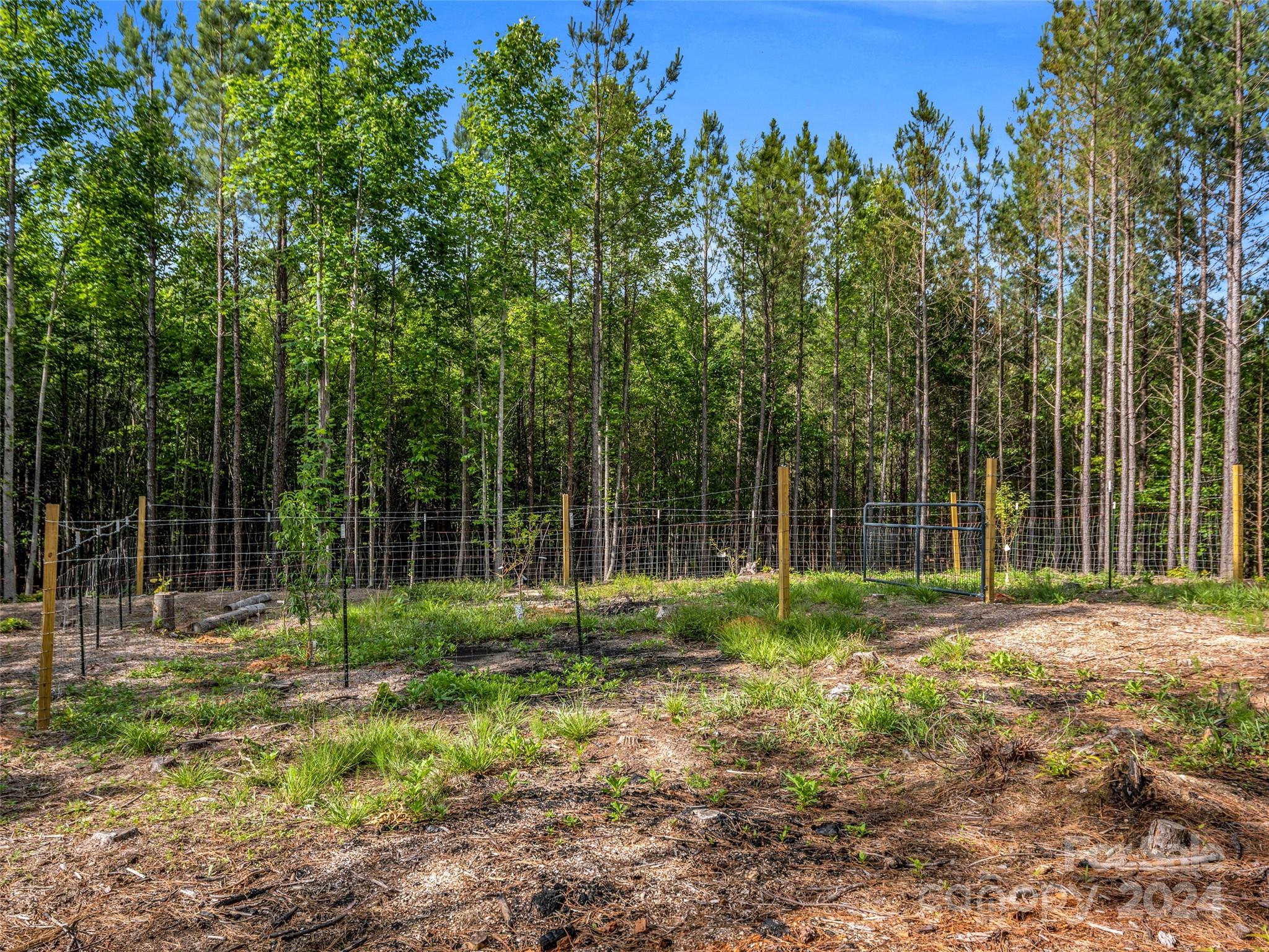 10305 Green River Cove Road Mill Spring, NC 28756 - Photo 36 of 41