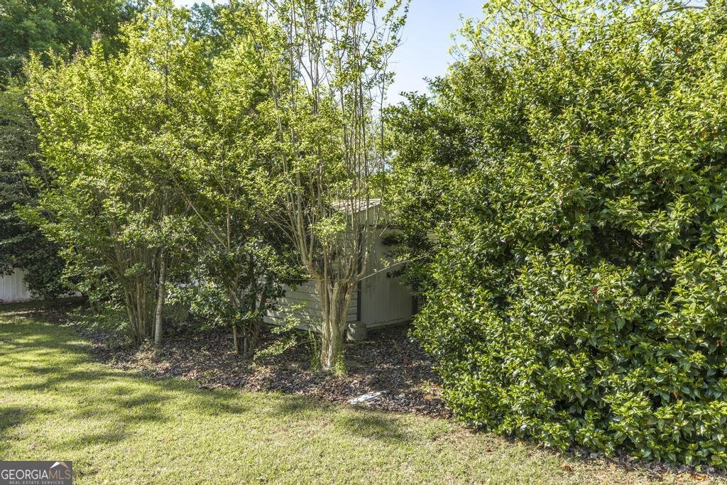 201 Strawberry Circle Dublin, GA 31021 - Photo 17 of 40 a view of a yard with a tree