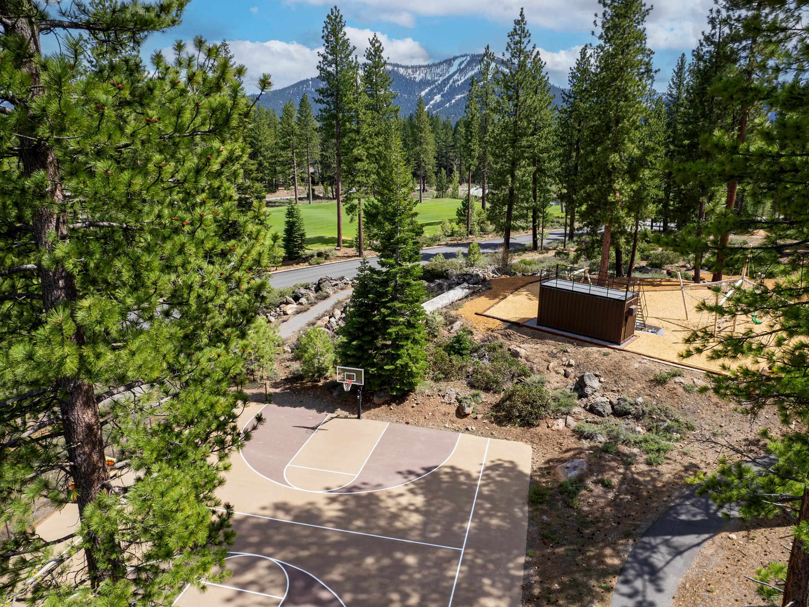9247 Brae Court Truckee, CA 96161 - Photo 16 of 16 a view of a yard with plants and trees