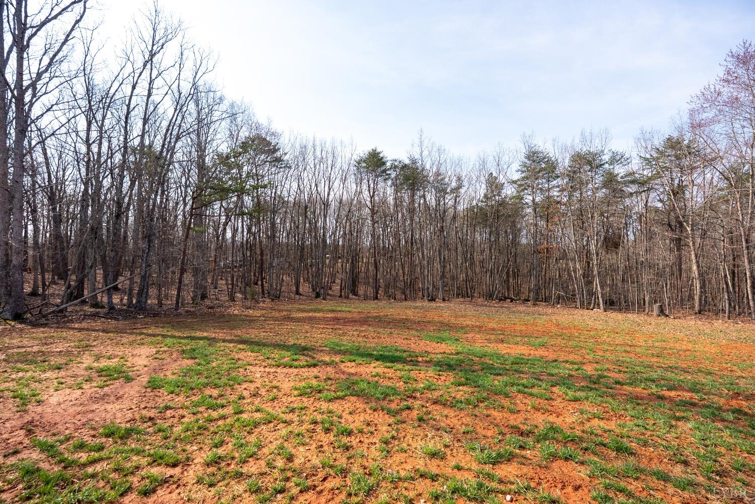2541 Mitchell Mill Road Gladys, VA 24554 - Photo 33 of 41 a view of empty space with trees