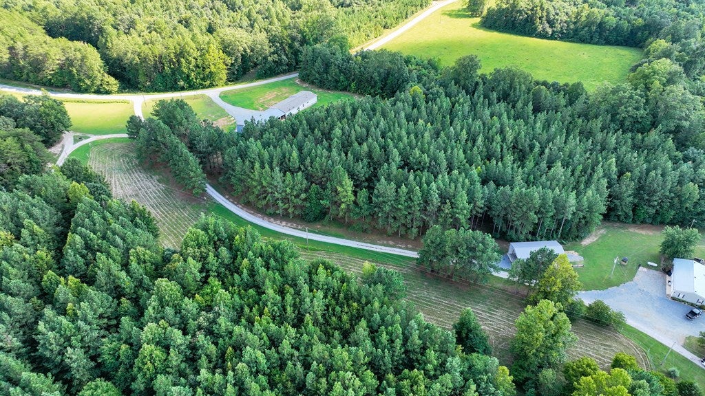3152 Beulah Road Nathalie, VA 24577 - Photo 61 of 75 Aerial view driveway