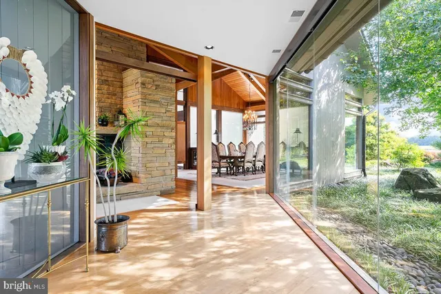 a view of a backyard with plants and a patio