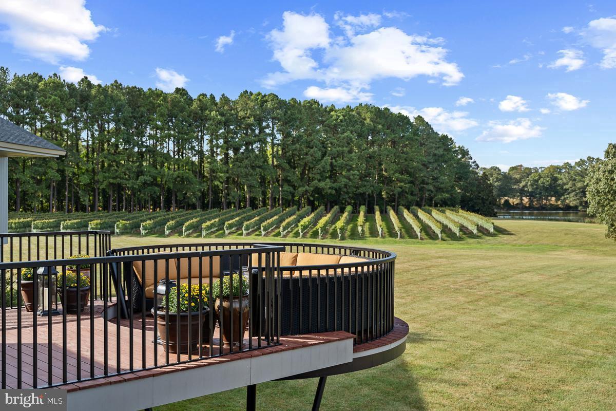 27772 Sharp Road Easton, MD 21601 - Photo 49 of 86 Stunning Vineyard Views