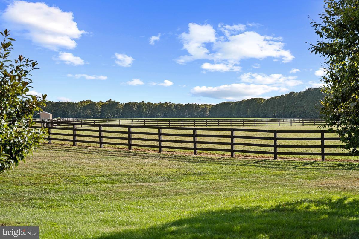 27772 Sharp Road Easton, MD 21601 - Photo 62 of 86 20 Acres Fenced Pastures